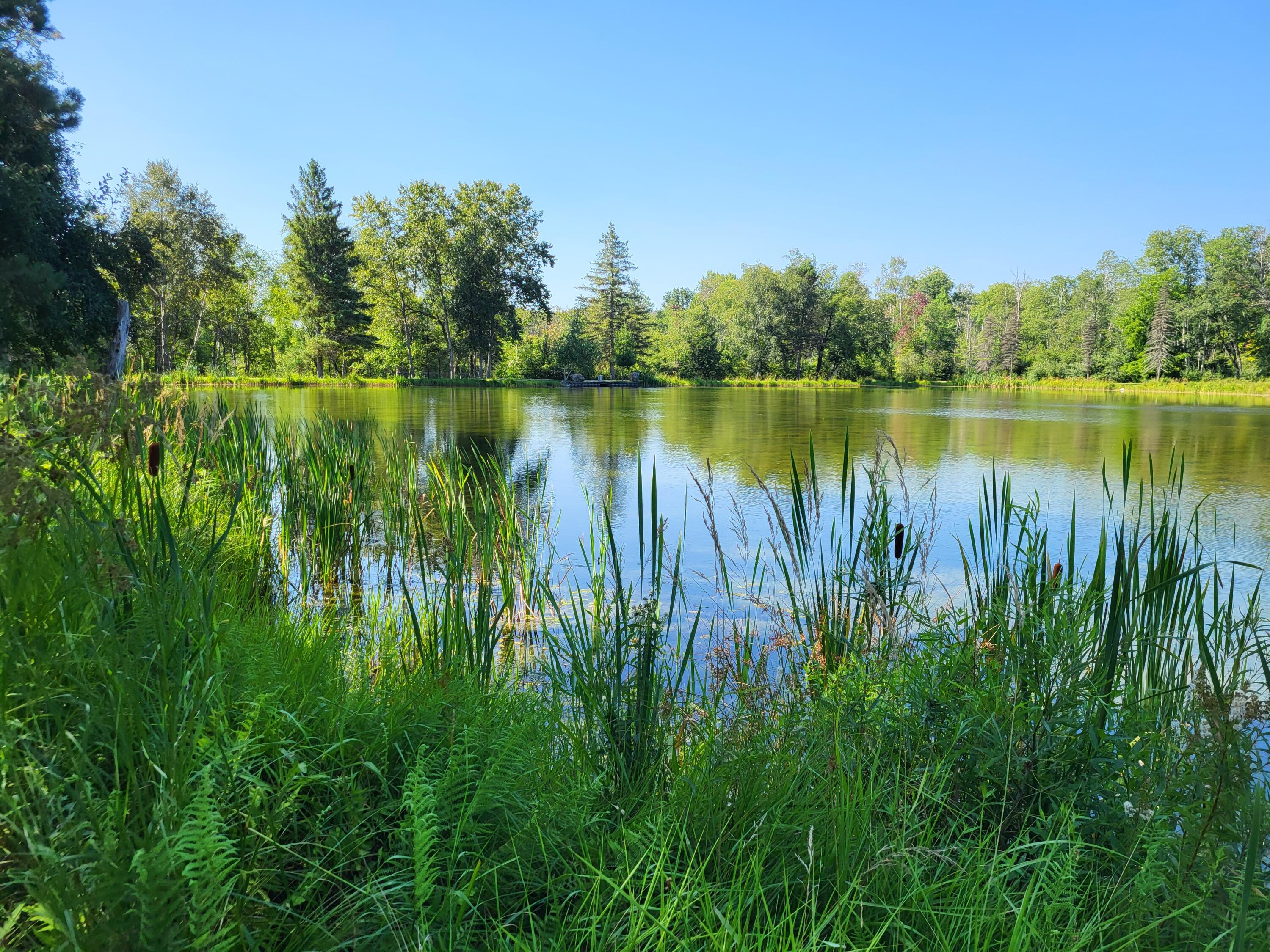 100 W Adams Road Lincoln Township MI 48622