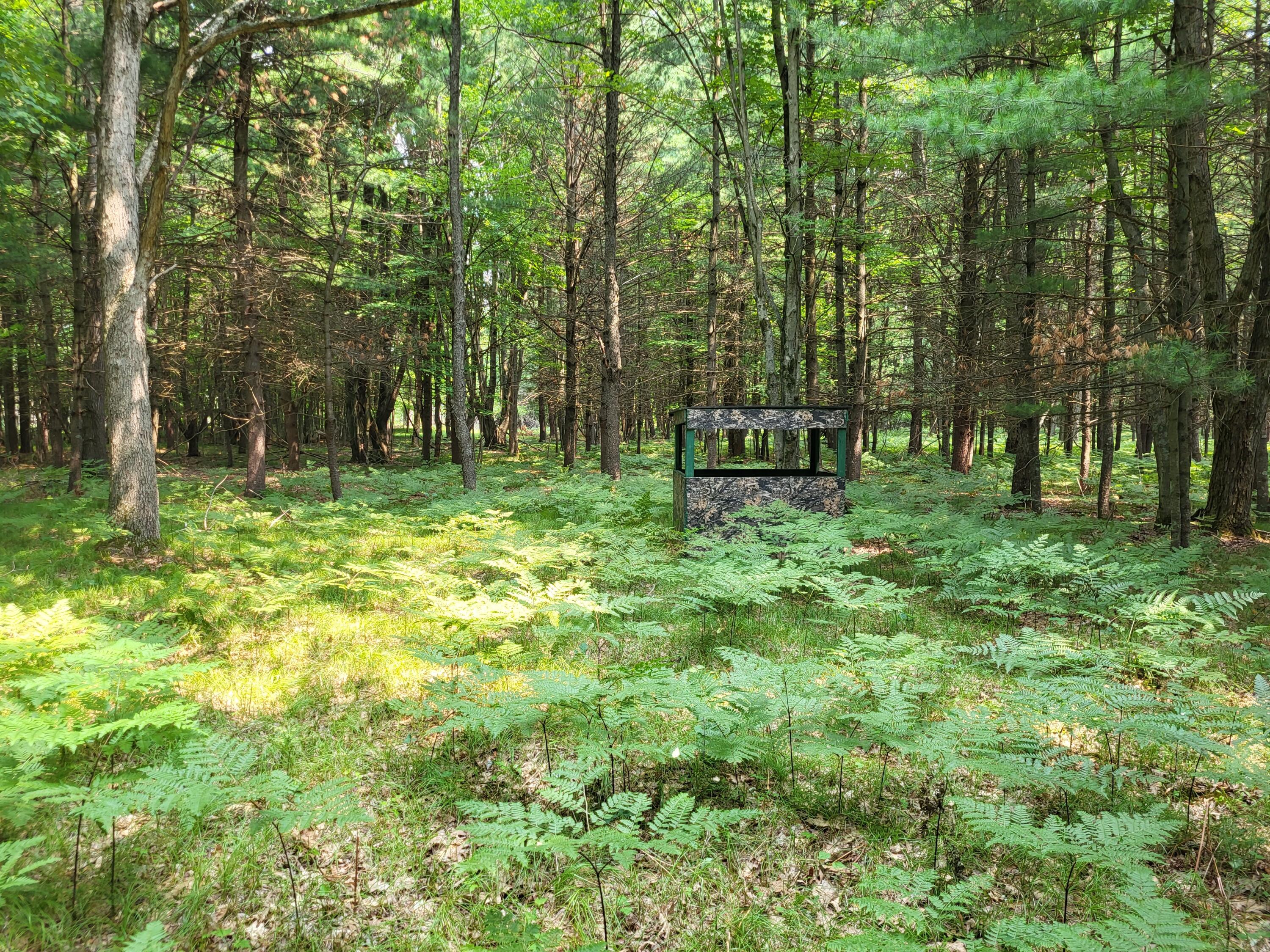 100 W Adams Road Lincoln Township MI 48622