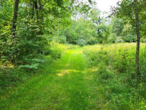 100 W Adams Road Lincoln Township MI 48622