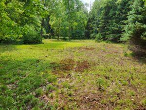 100 W Adams Road Lincoln Township MI 48622
