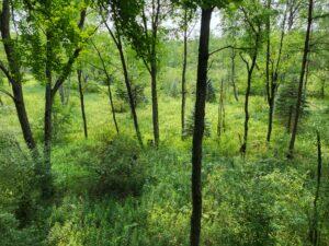 100 W Adams Road Lincoln Township MI 48622