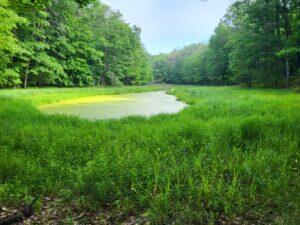 100 W Adams Road Lincoln Township MI 48622