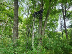 100 W Adams Road Lincoln Township MI 48622