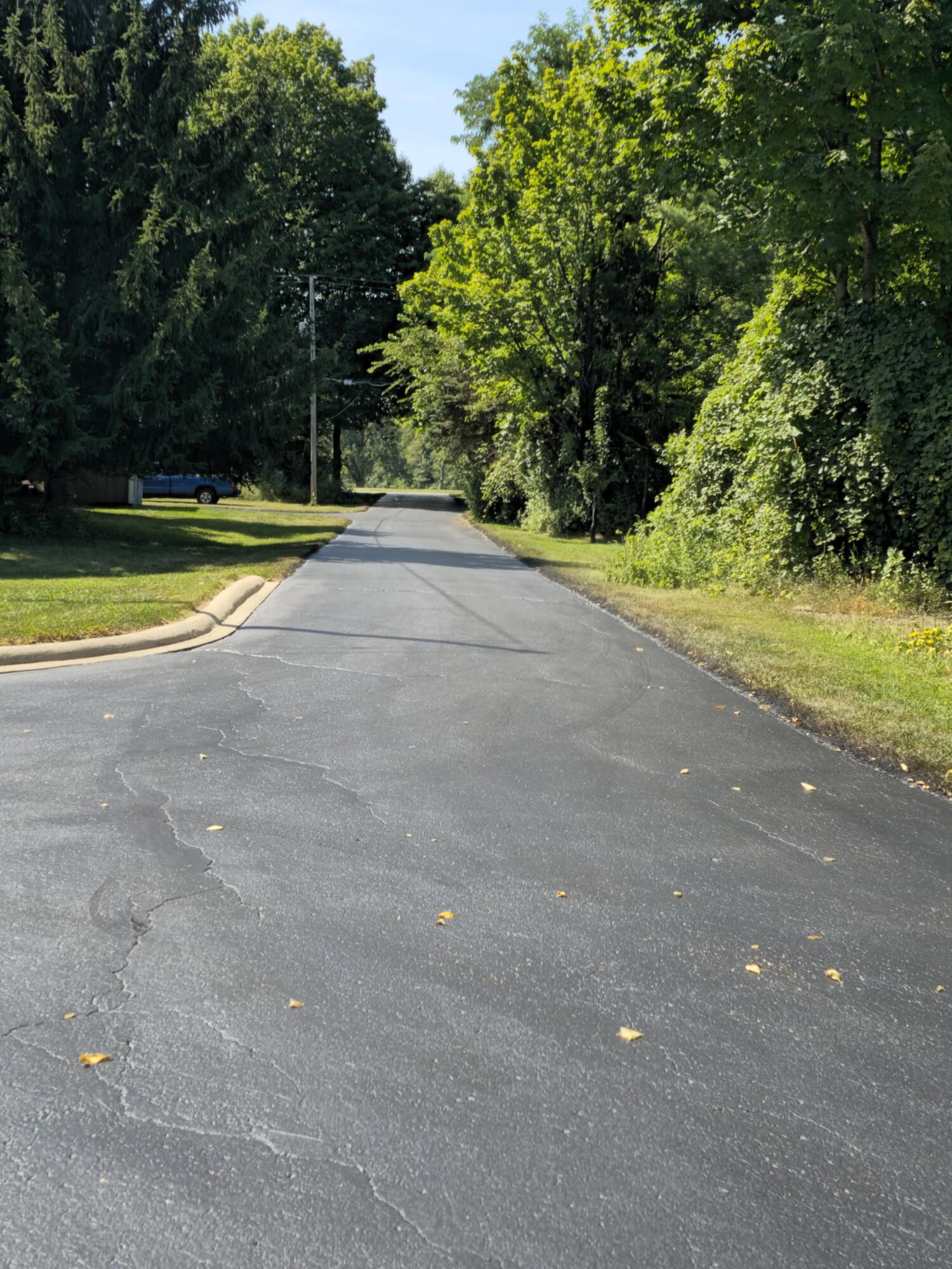 5435 State Road Adams Township MI 49242