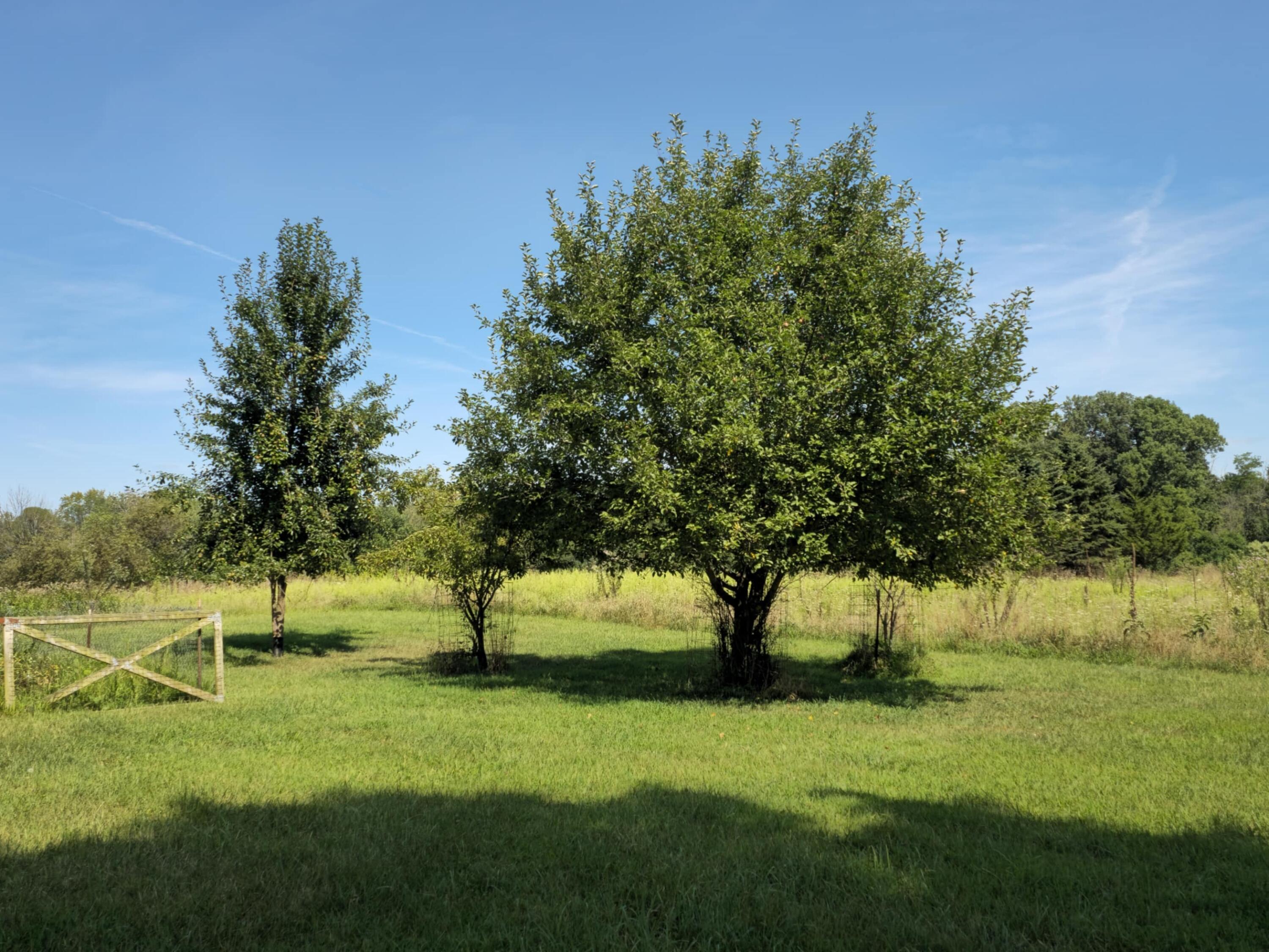 5435 State Road Adams Township MI 49242