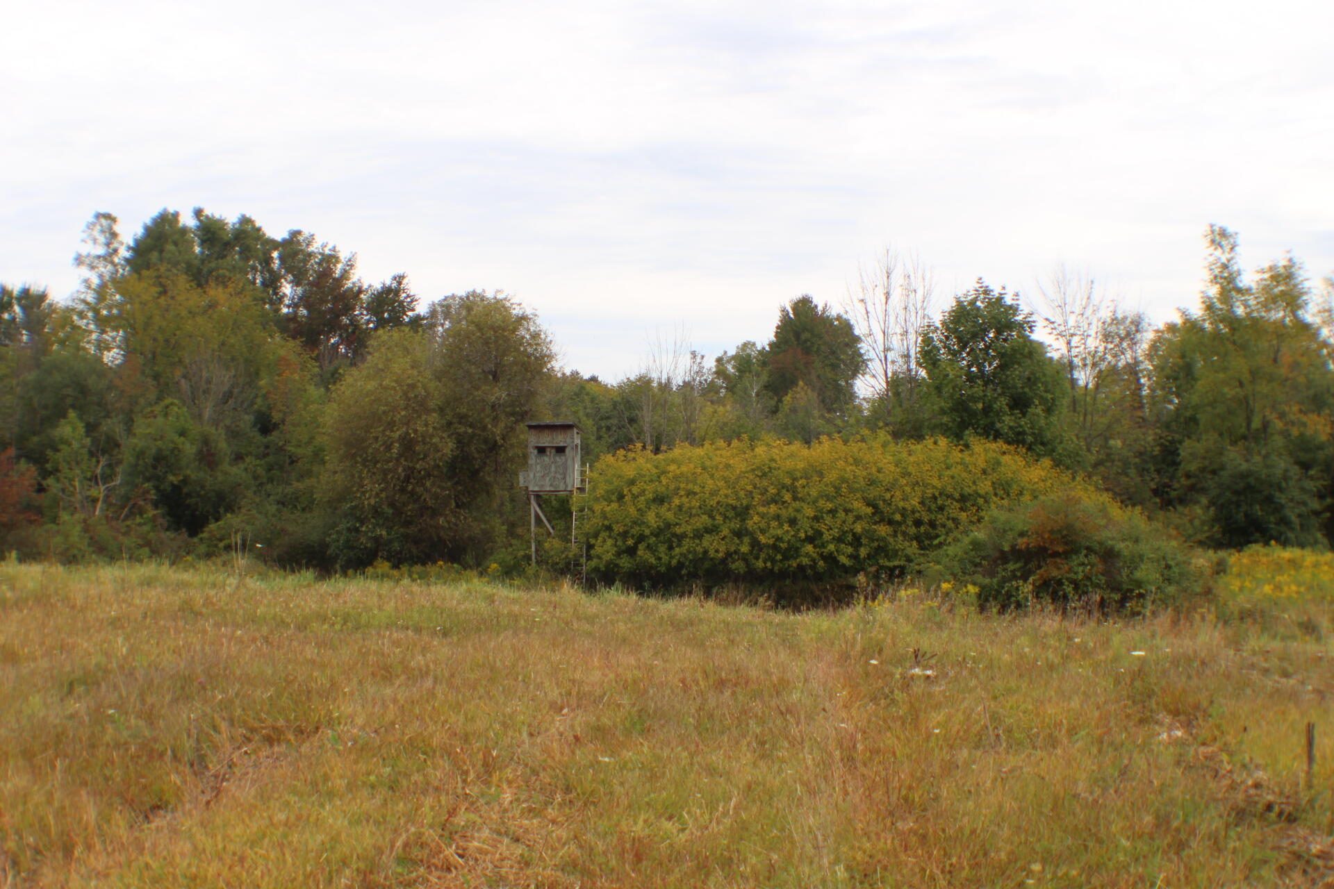 5435 State Road Adams Township MI 49242