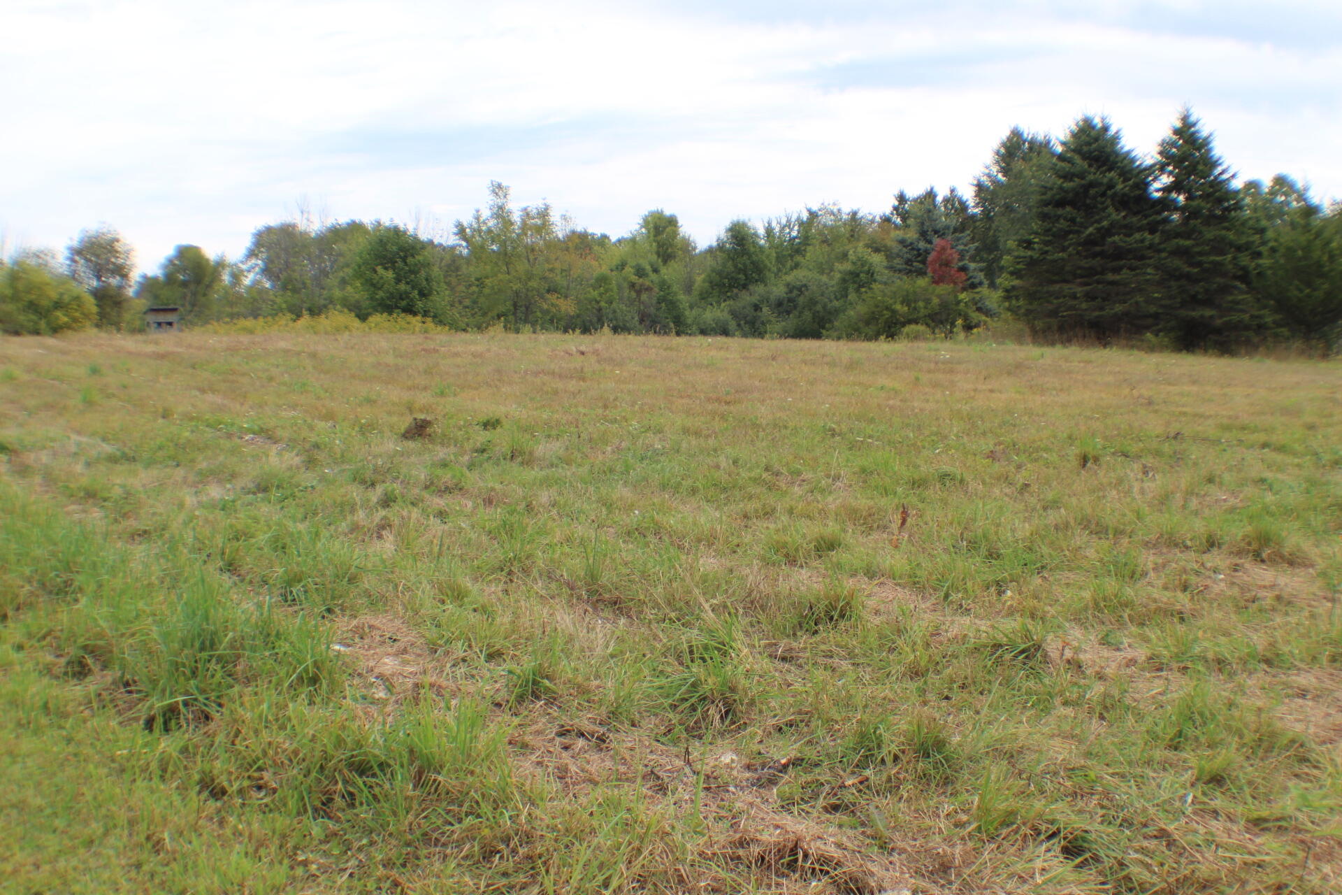 5435 State Road Adams Township MI 49242