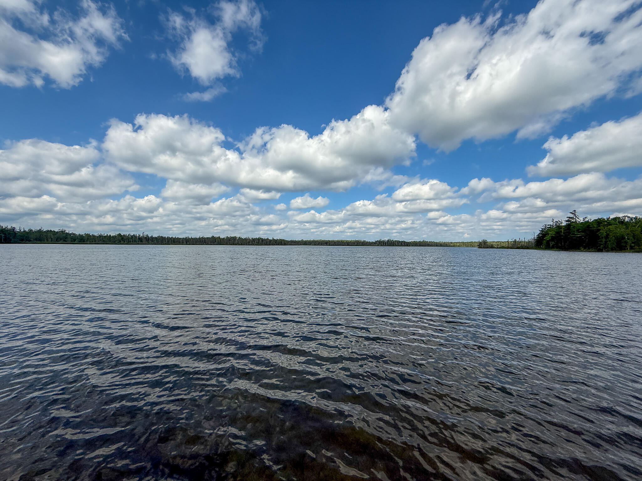1408 Turtle Lake Road Chester Township MI 49735