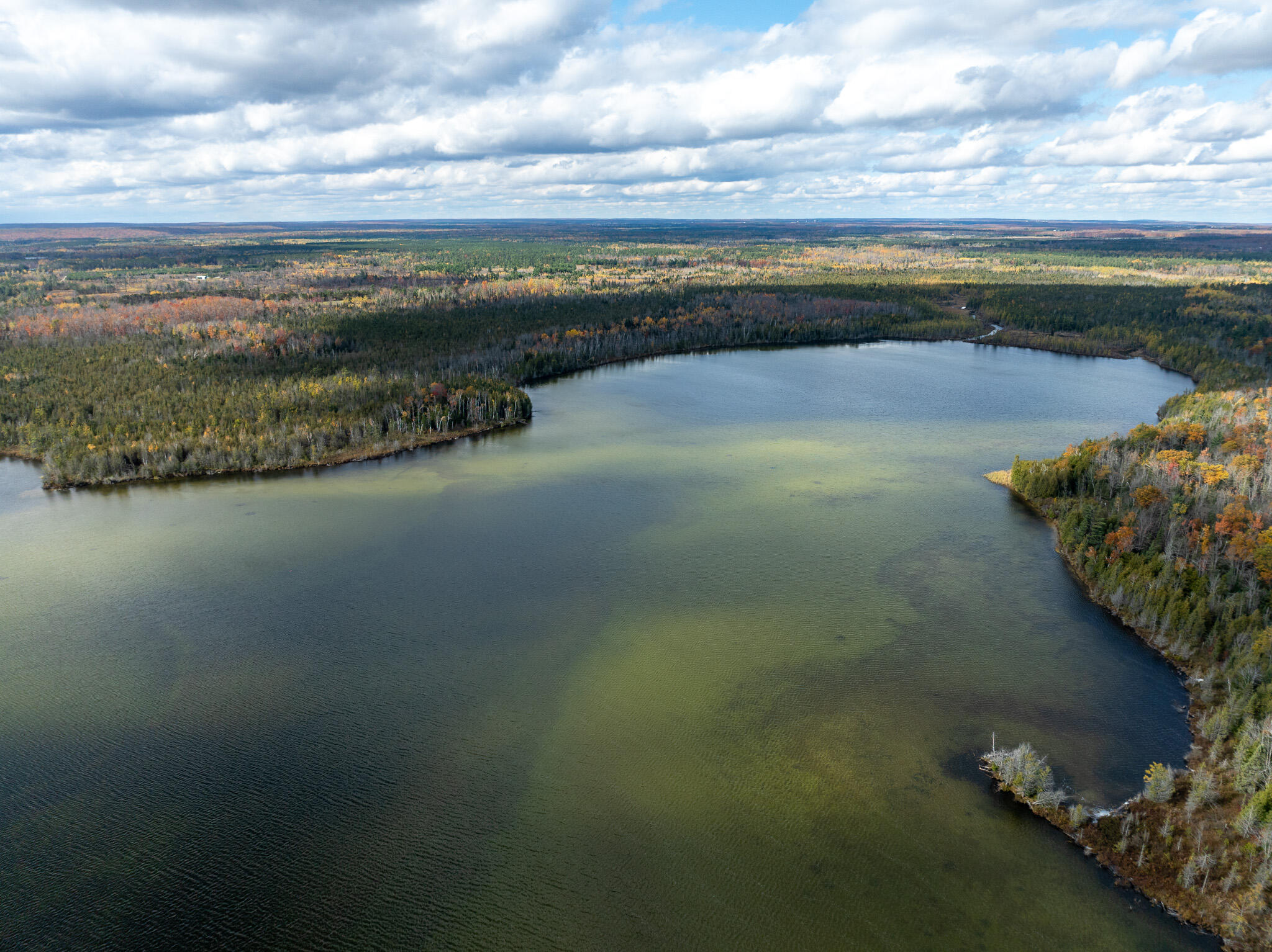 1408 Turtle Lake Road Chester Township MI 49735