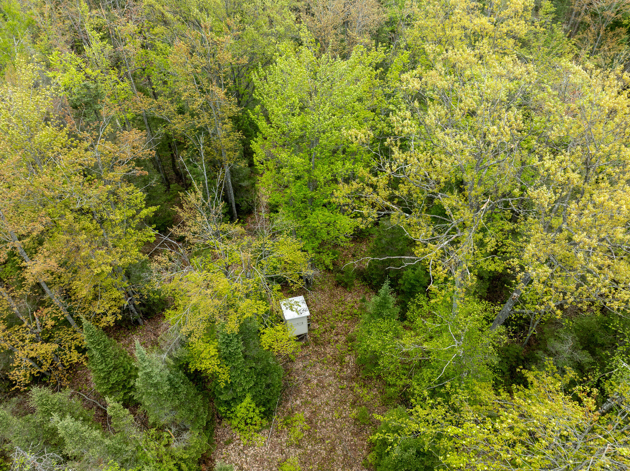 1408 Turtle Lake Road Chester Township MI 49735