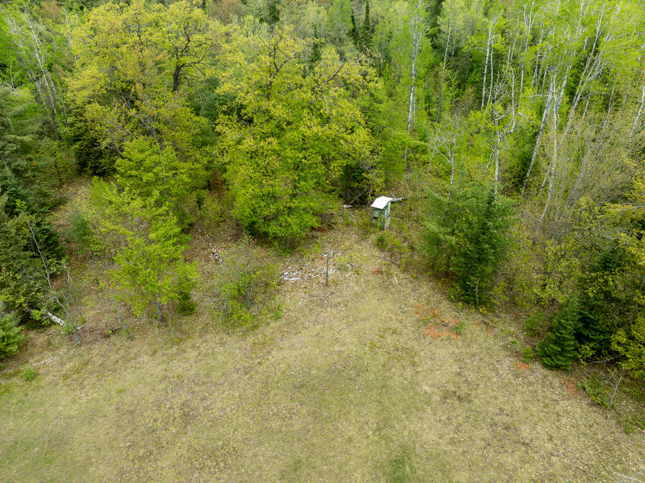 1408 Turtle Lake Road Chester Township MI 49735
