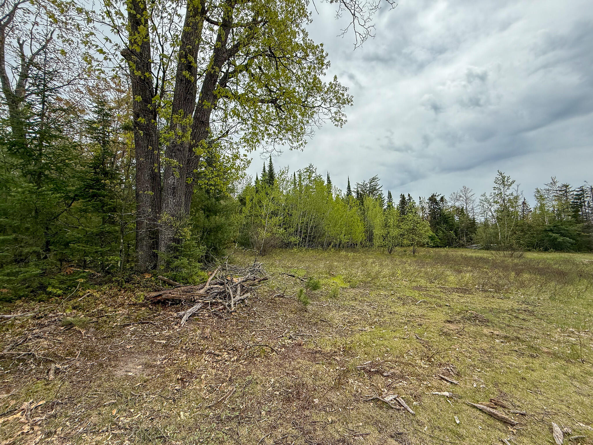 1408 Turtle Lake Road Chester Township MI 49735