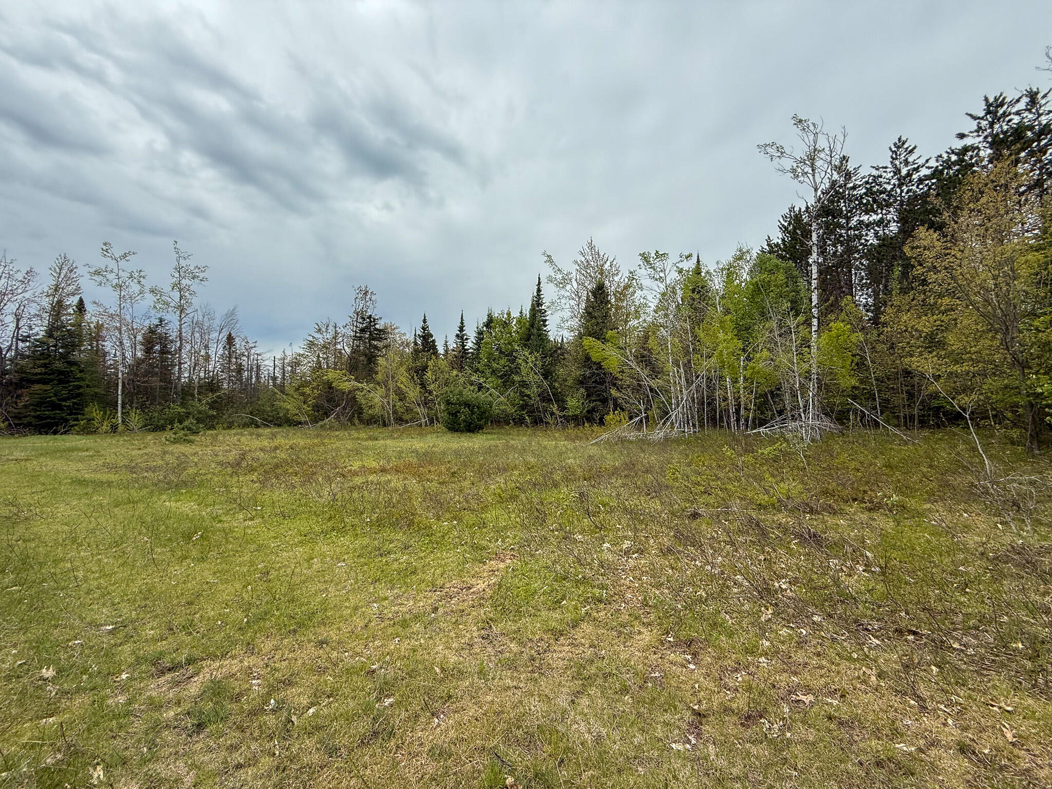 1408 Turtle Lake Road Chester Township MI 49735
