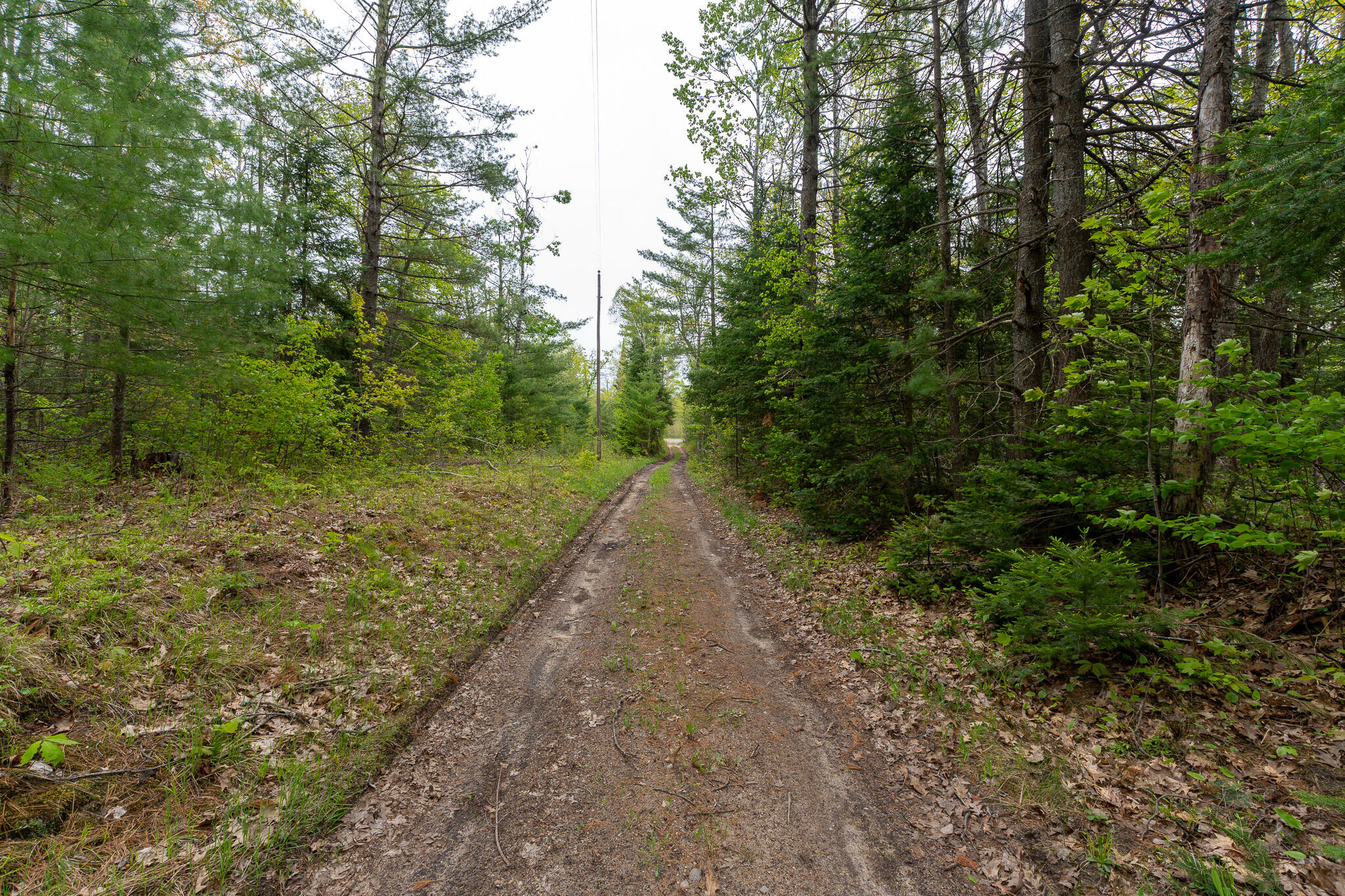 1408 Turtle Lake Road Chester Township MI 49735