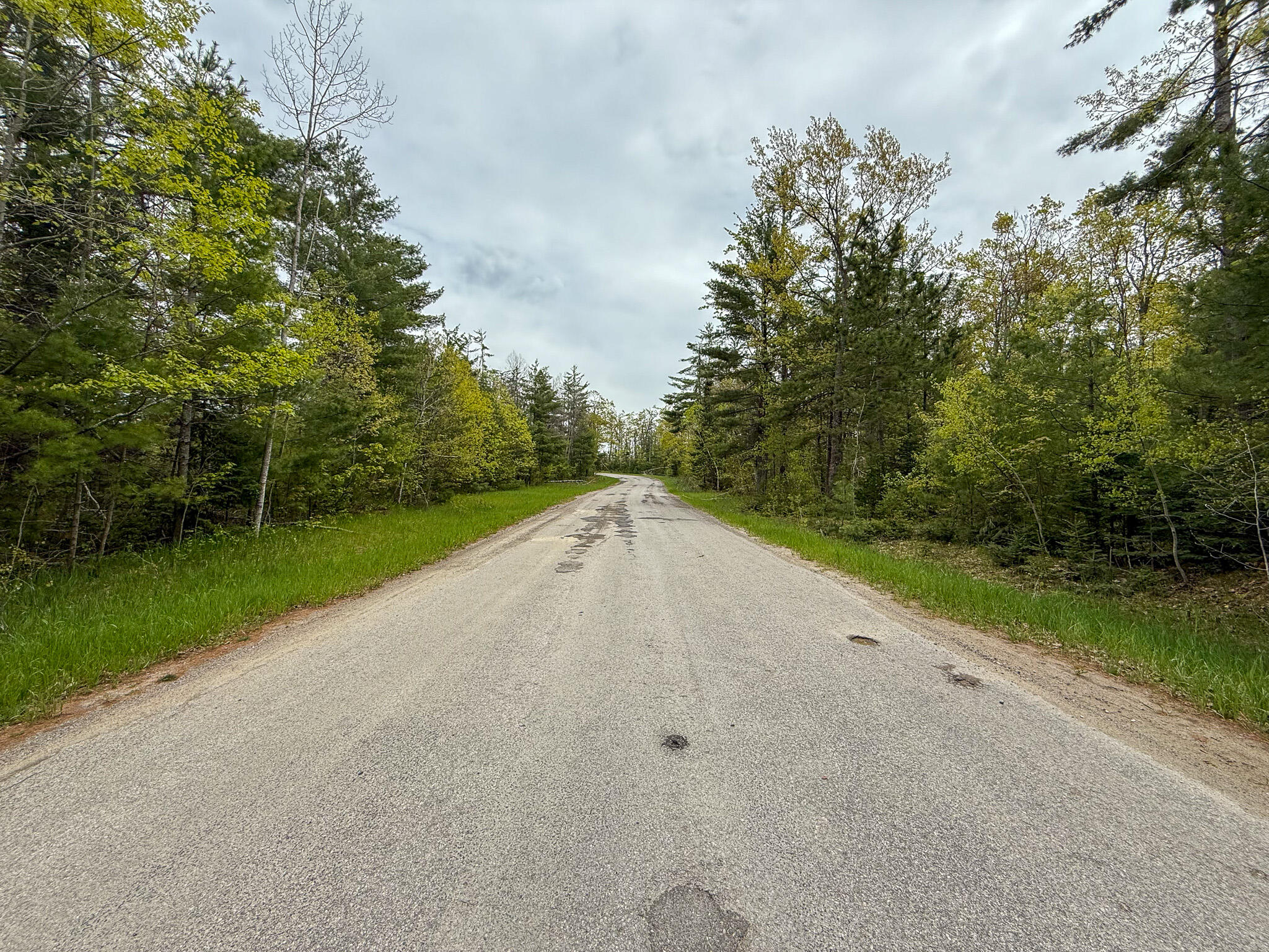 1408 Turtle Lake Road Chester Township MI 49735