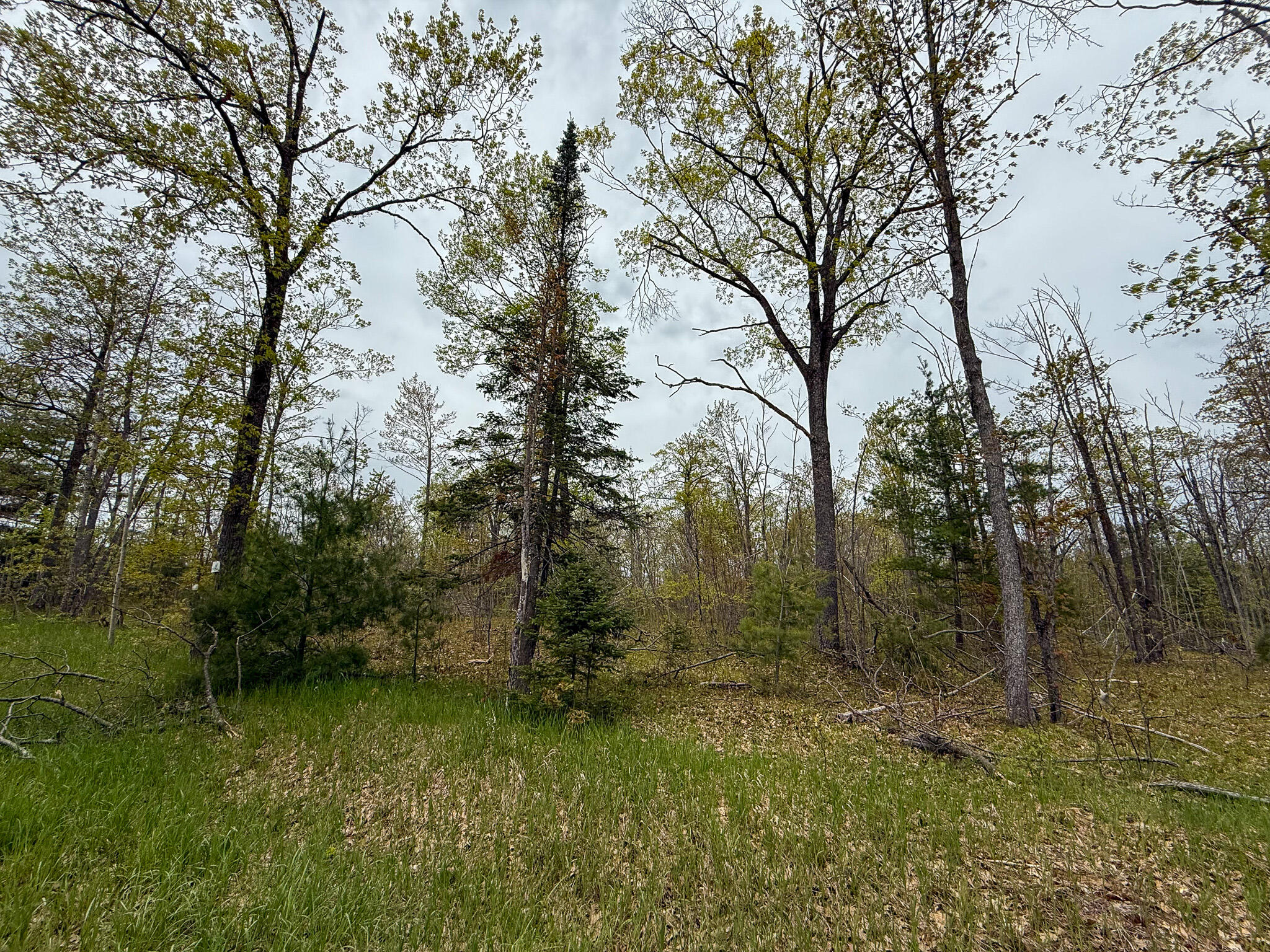 1408 Turtle Lake Road Chester Township MI 49735