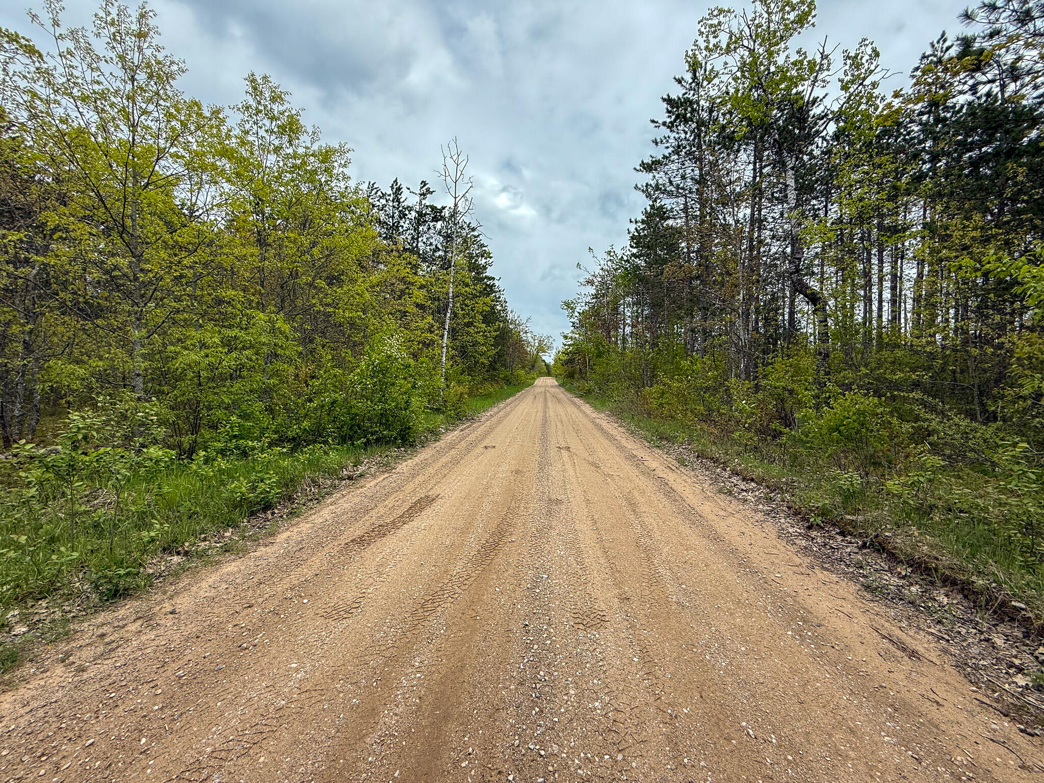 1408 Turtle Lake Road Chester Township MI 49735