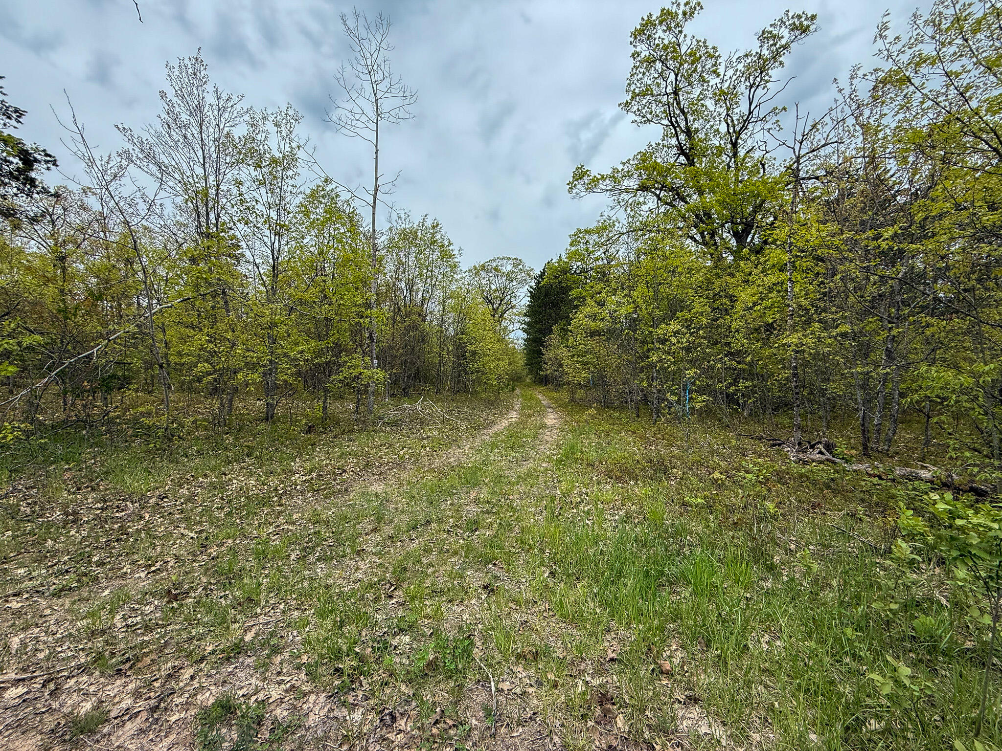 1408 Turtle Lake Road Chester Township MI 49735
