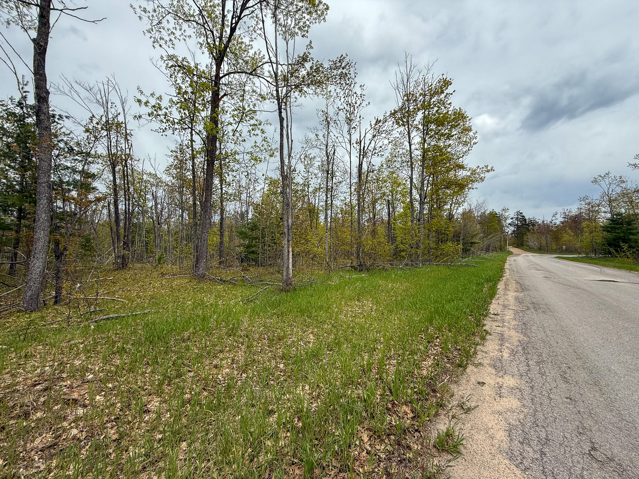 1408 Turtle Lake Road Chester Township MI 49735