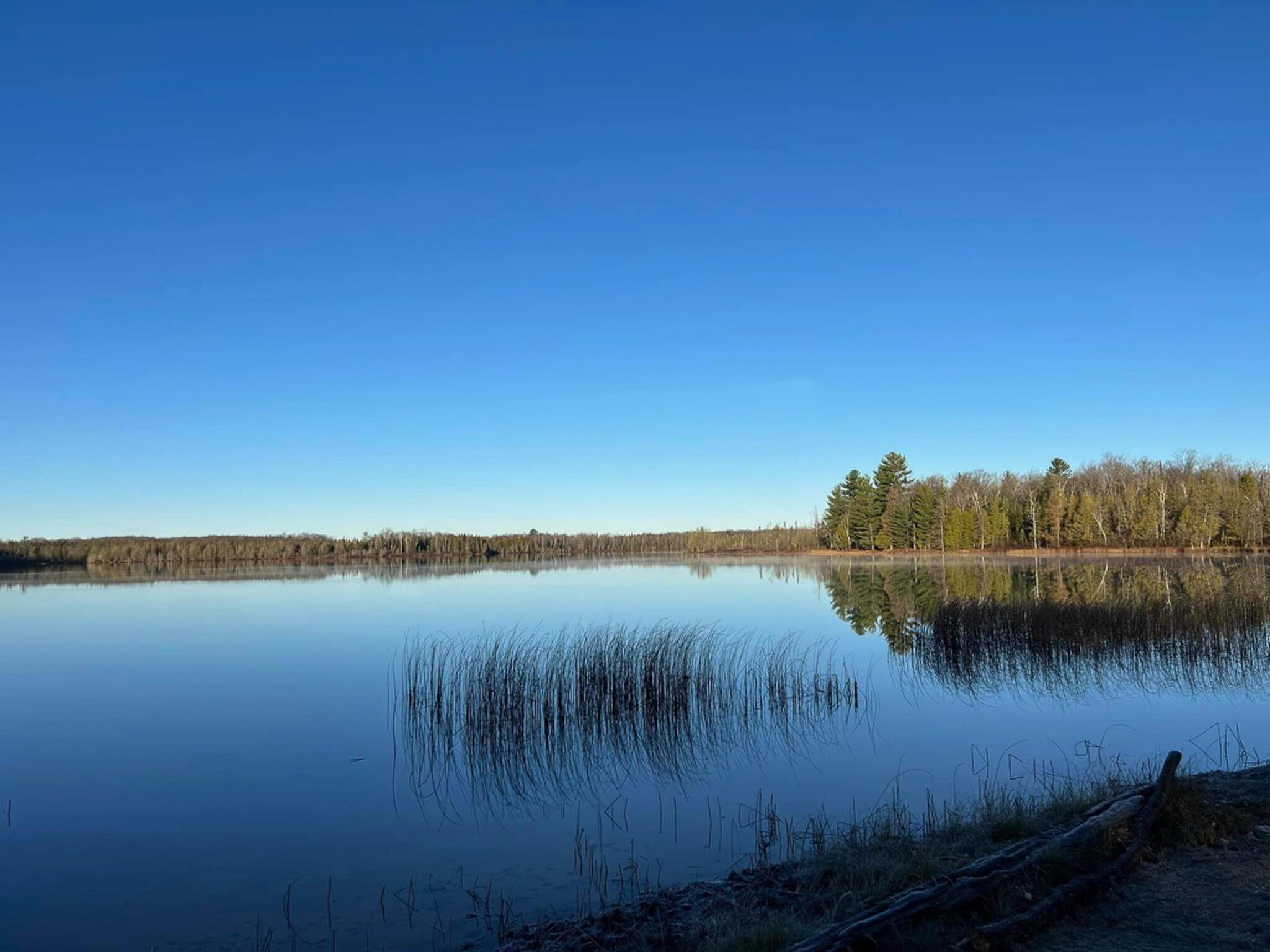 1408 Turtle Lake Road Chester Township MI 49735