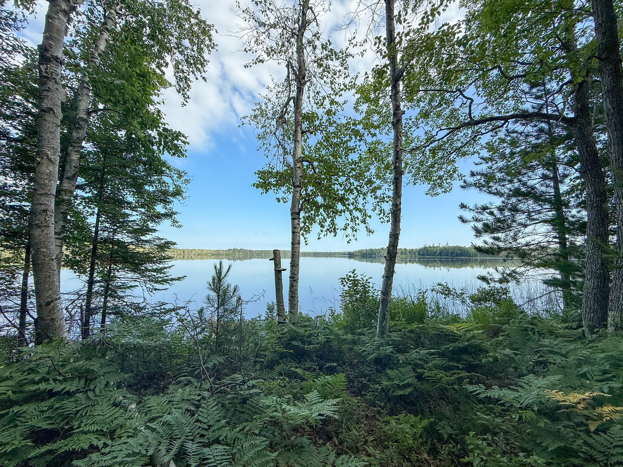 1408 Turtle Lake Road Chester Township MI 49735