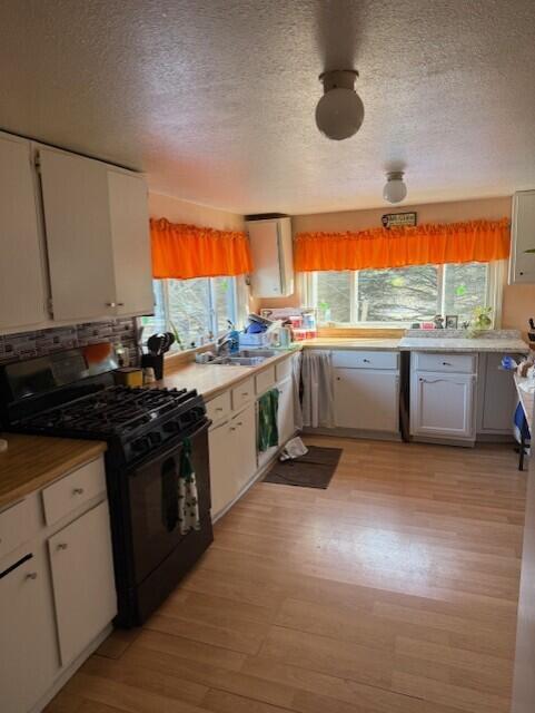 5297 N Hughes Avenue Sheridan Township MI 49410