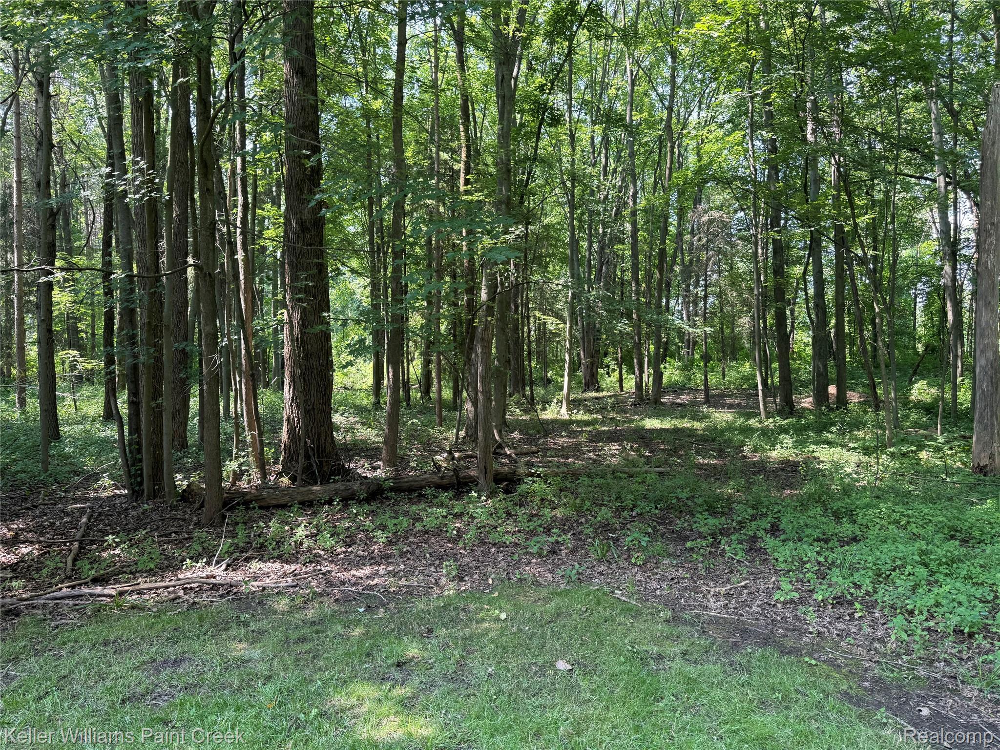 6365 Hayfield Lane Almont Township MI 48003