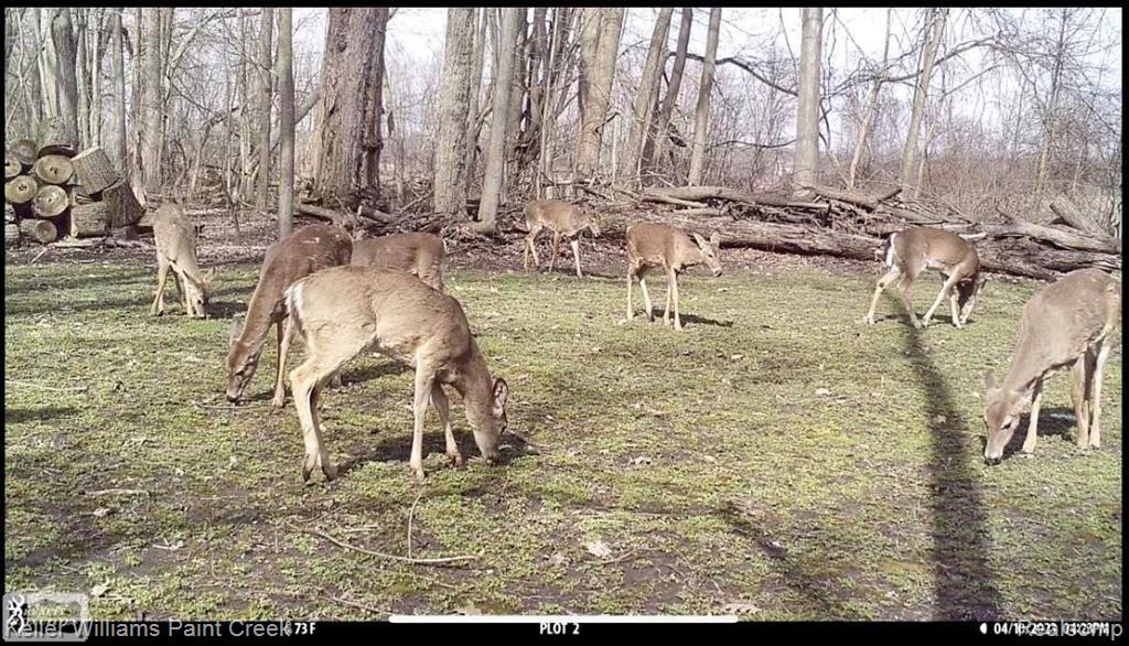 6365 Hayfield Lane Almont Township MI 48003