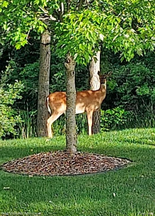 6365 Hayfield Lane Almont Township MI 48003