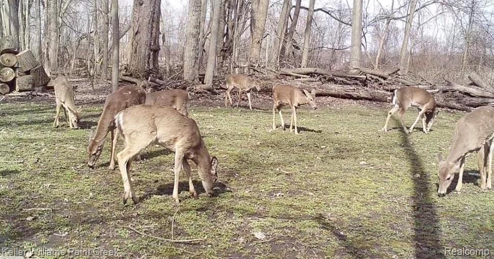 6365 Hayfield Lane Almont Township MI 48003