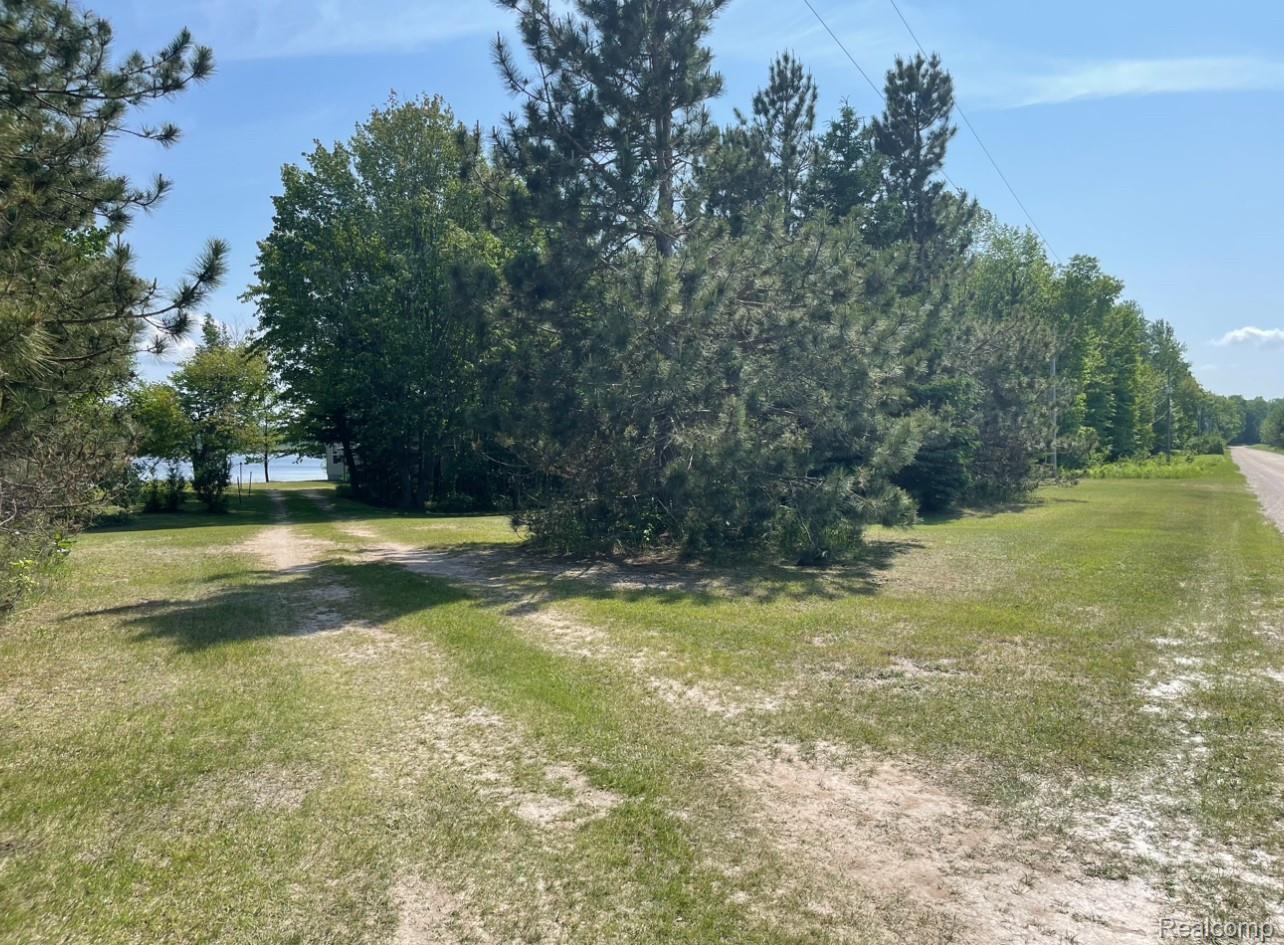 33902 W Birch Shores Drive Trout Lake Township MI 49793