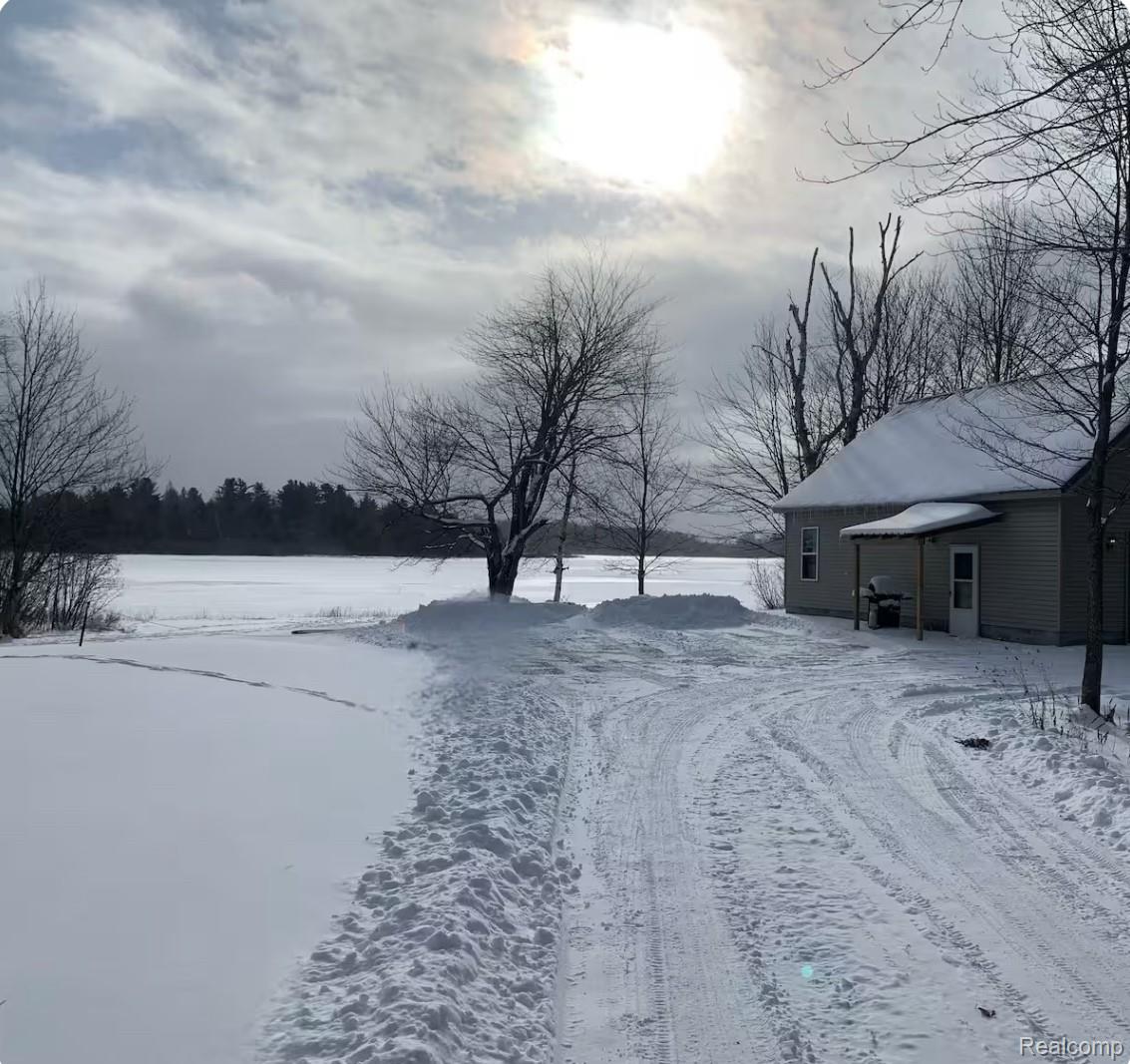 33902 W Birch Shores Drive Trout Lake Township MI 49793