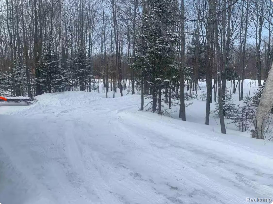 33902 W Birch Shores Drive Trout Lake Township MI 49793