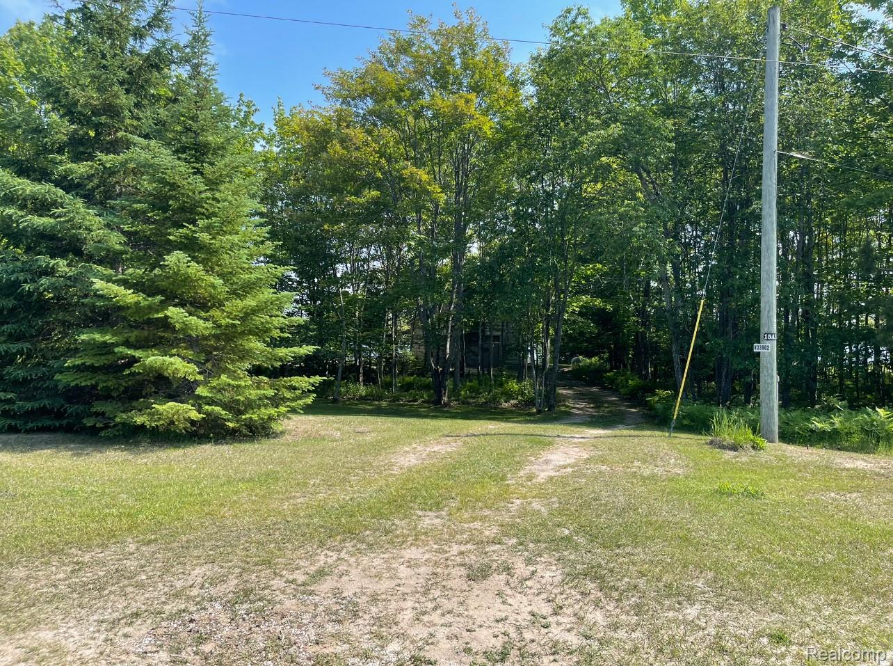 33902 W Birch Shores Drive Trout Lake Township MI 49793