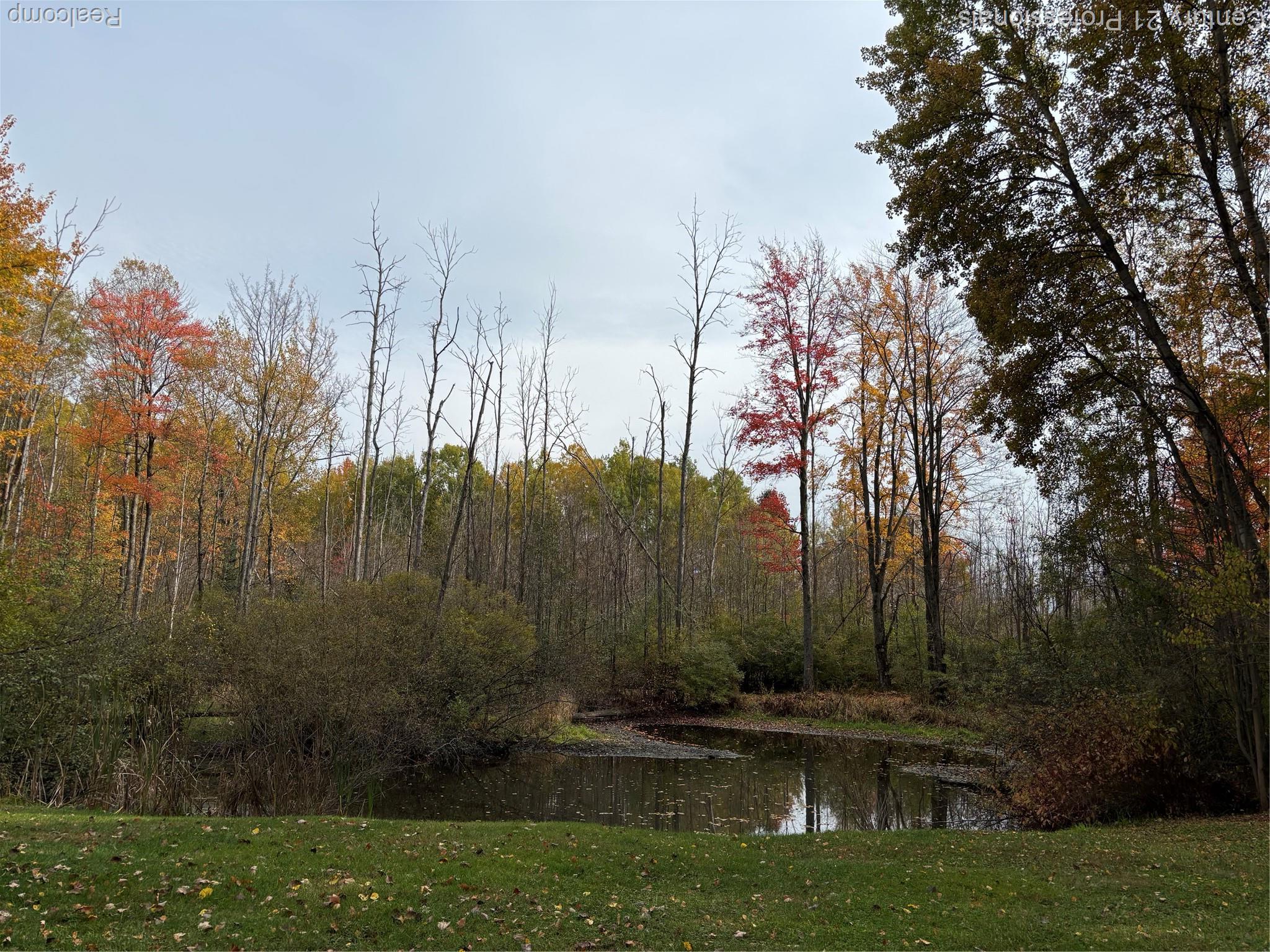 780 Wiltse Road Ogemaw Township MI 48635