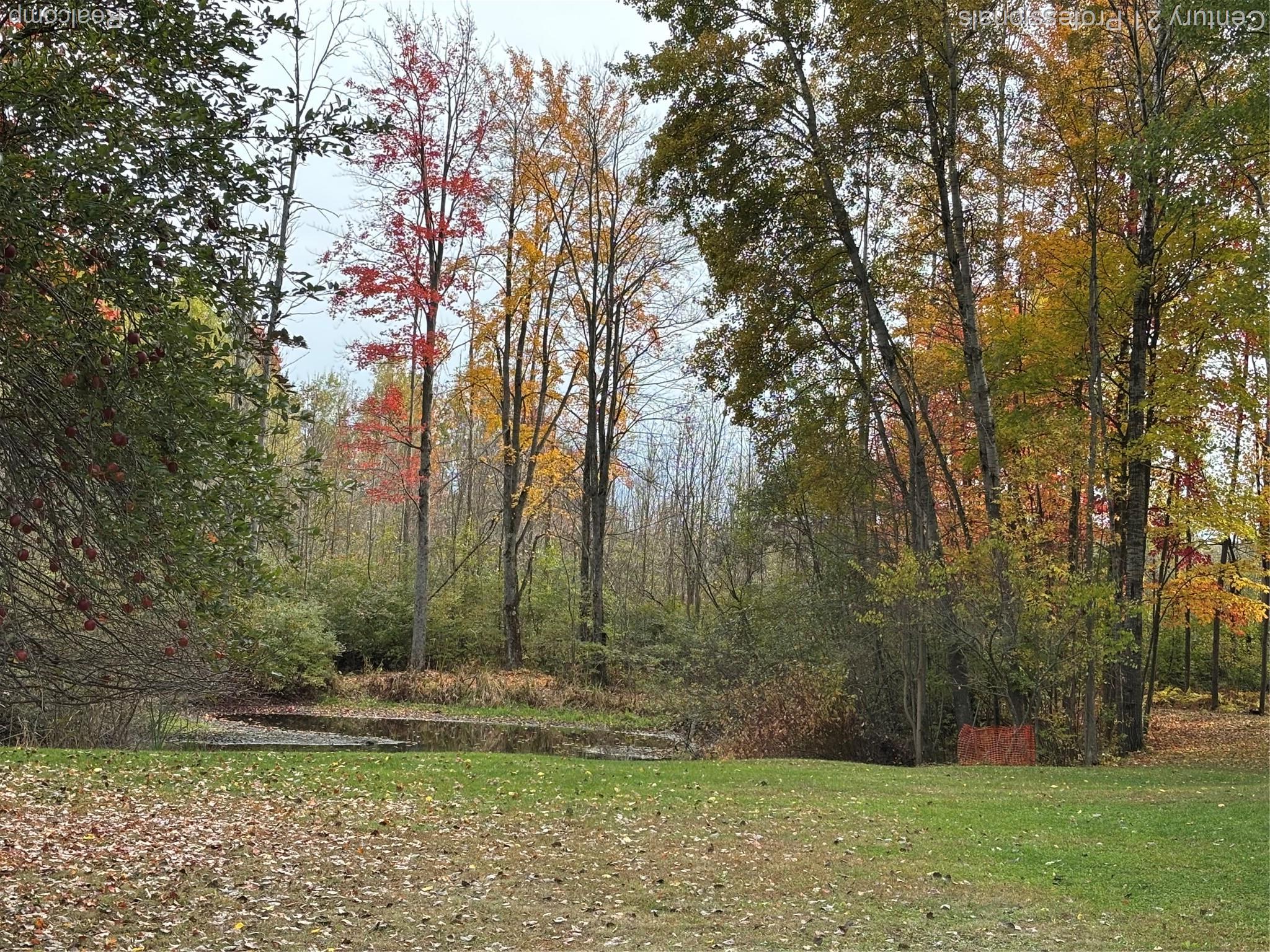 780 Wiltse Road Ogemaw Township MI 48635