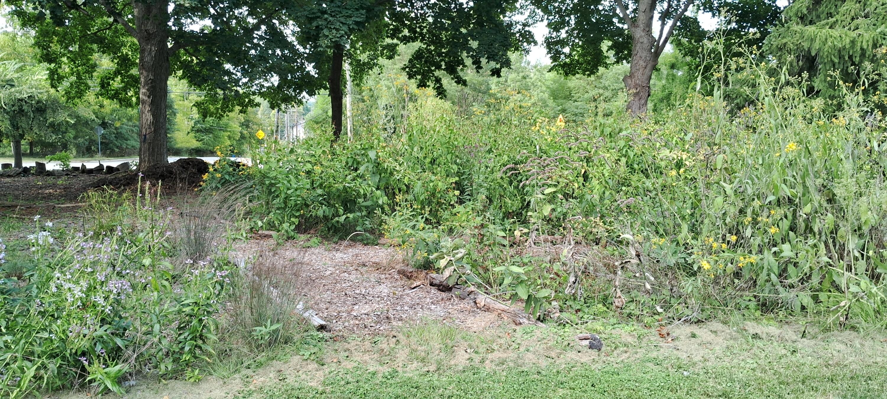 4500 E Huron River Drive Ann Arbor City MI 48105