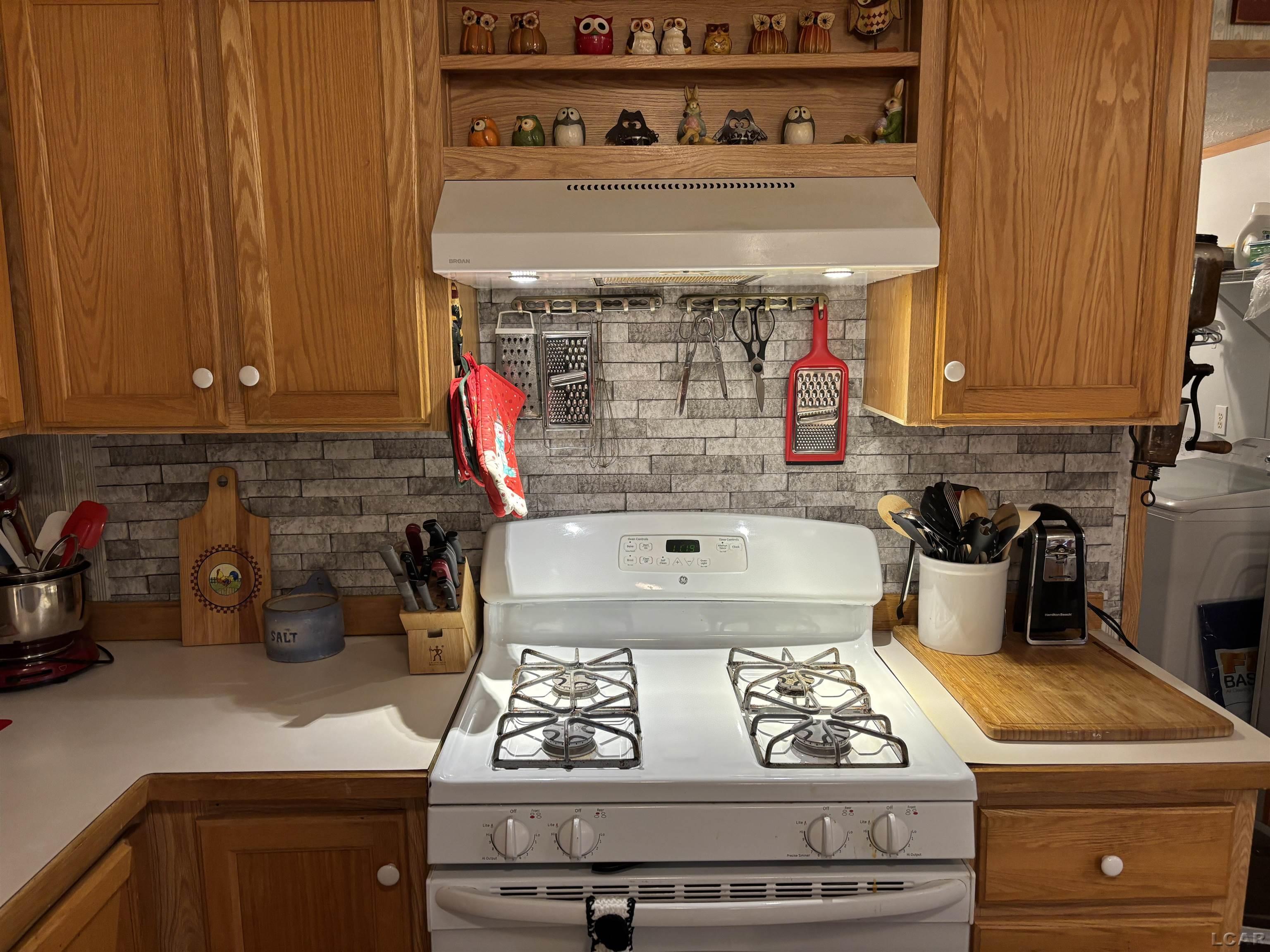 418 Birchwood Lot 195 Court Adrian City MI 49221