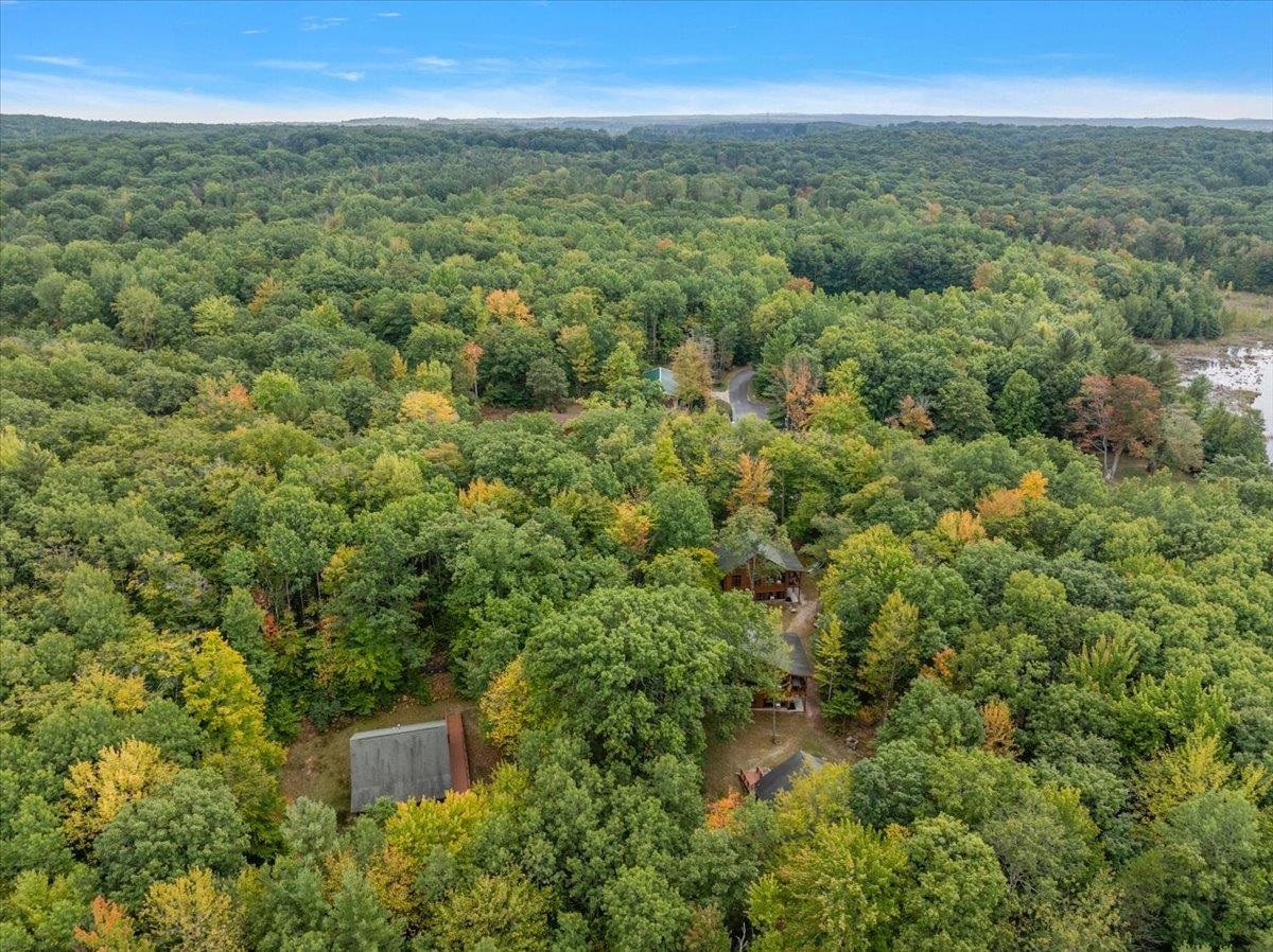 3943 N Skookum Road Ellsworth Township MI 49656