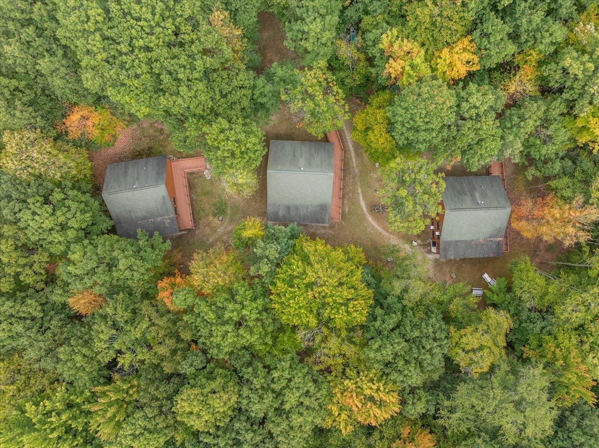 3943 N Skookum Road Ellsworth Township MI 49656
