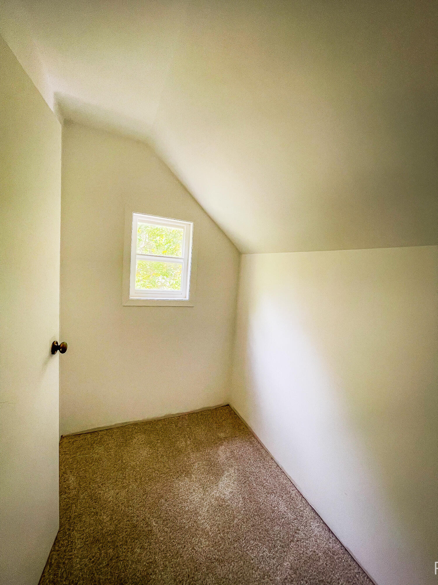 446 Bayview Court Leighton Township MI 49316
