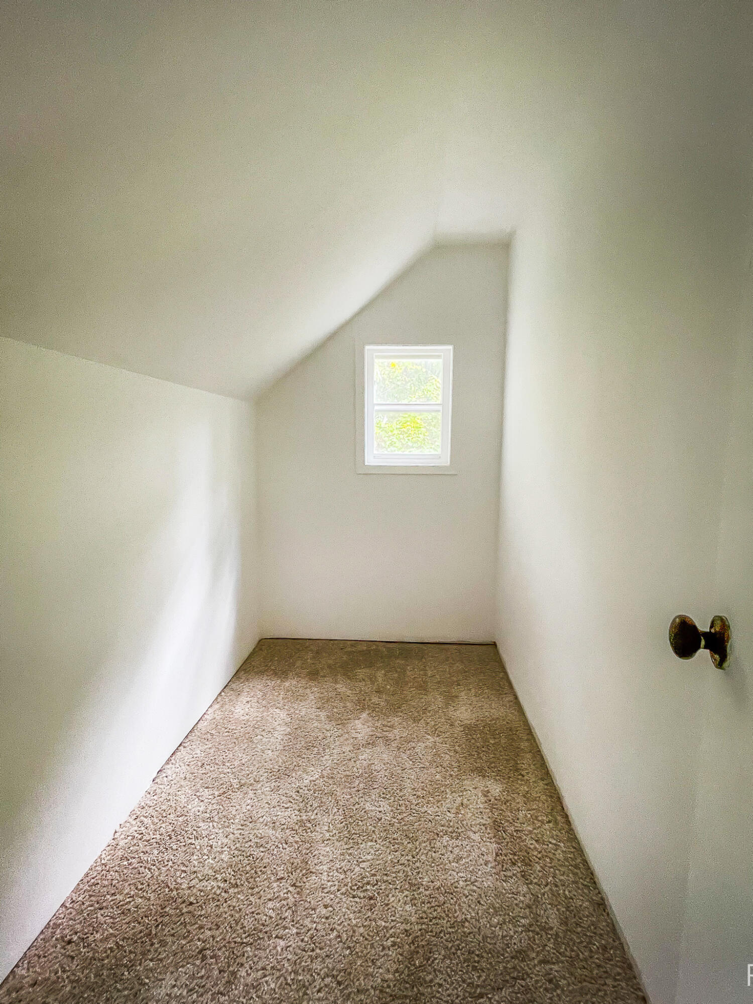 446 Bayview Court Leighton Township MI 49316