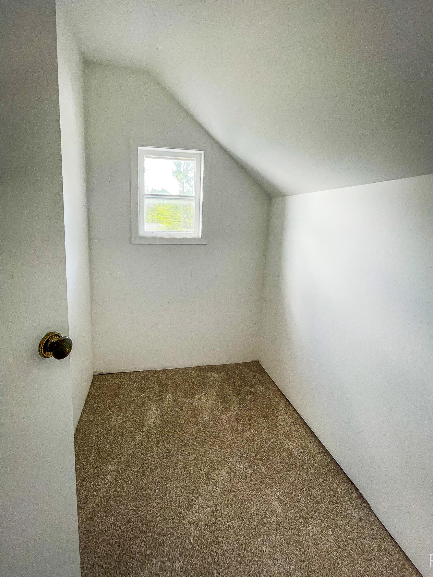 446 Bayview Court Leighton Township MI 49316