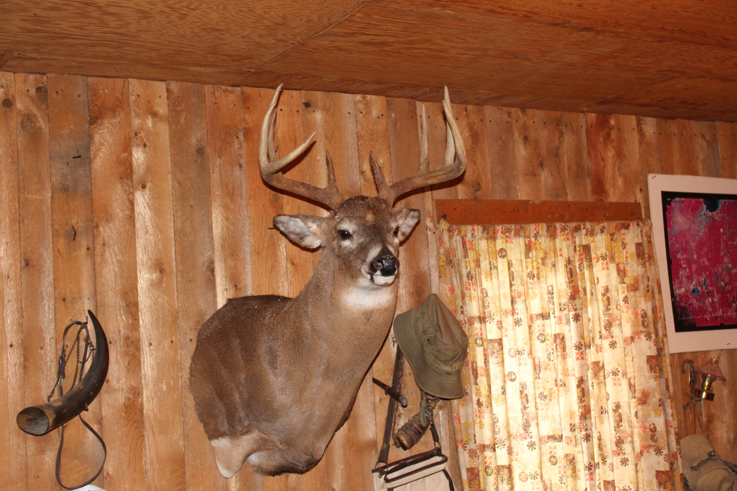 2838 W Trask Lake Road Hawes Township MI 48705