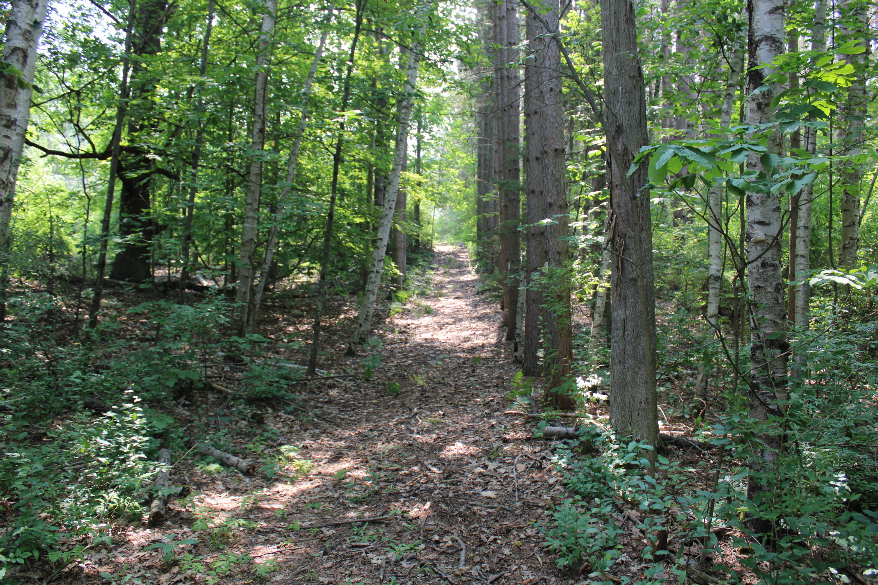 2838 W Trask Lake Road Hawes Township MI 48705