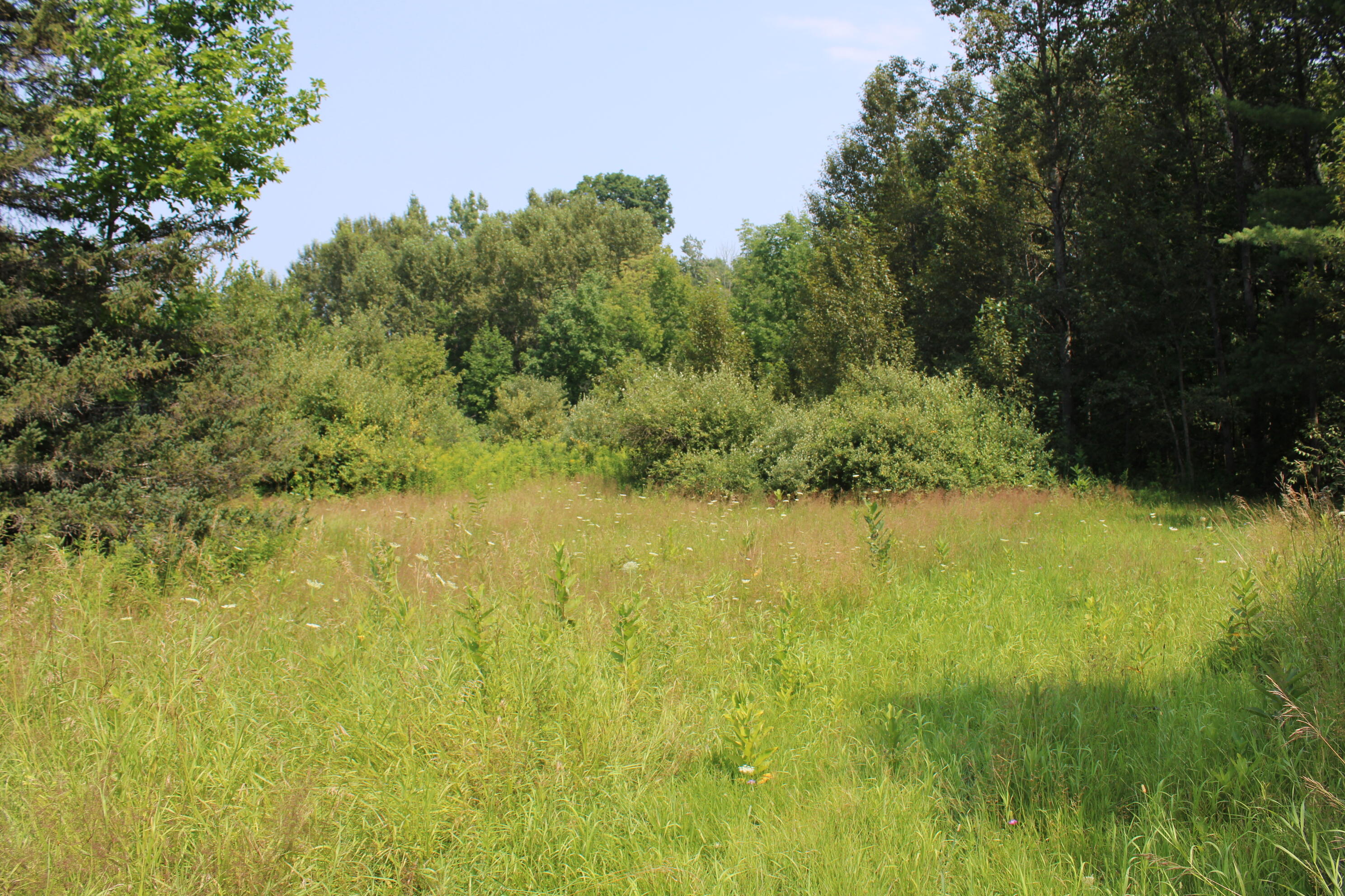 2838 W Trask Lake Road Hawes Township MI 48705