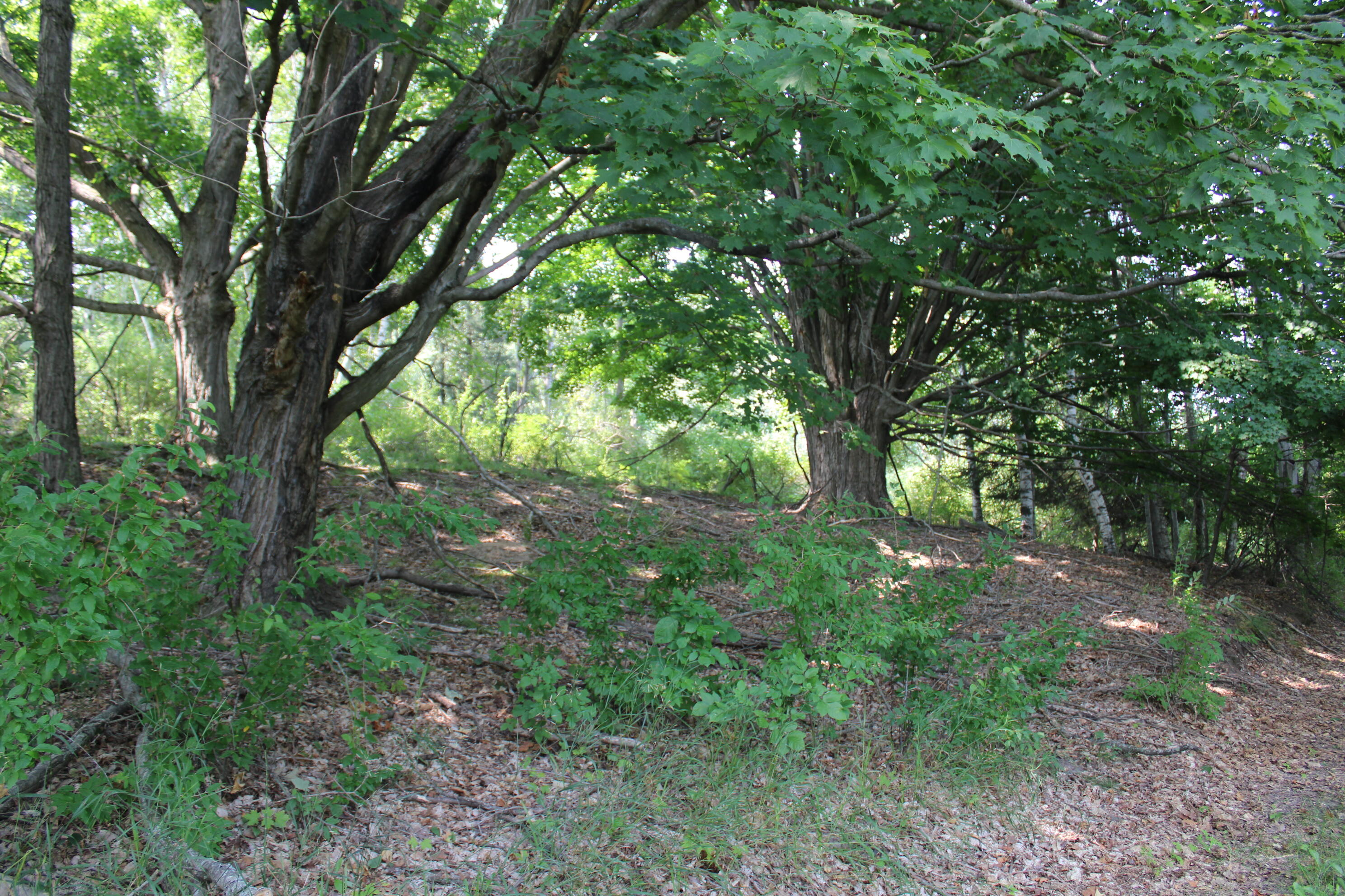 2838 W Trask Lake Road Hawes Township MI 48705