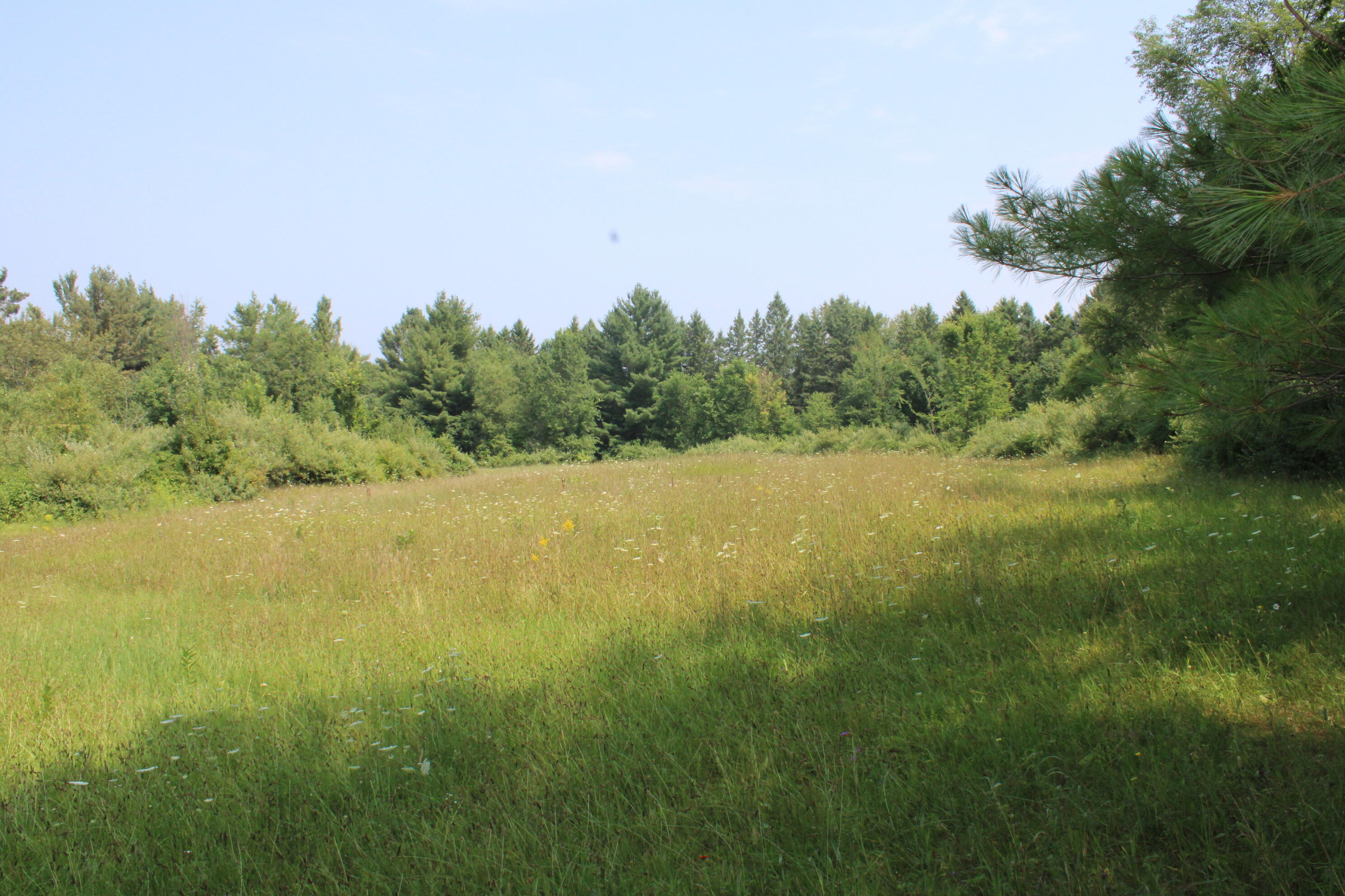 2838 W Trask Lake Road Hawes Township MI 48705