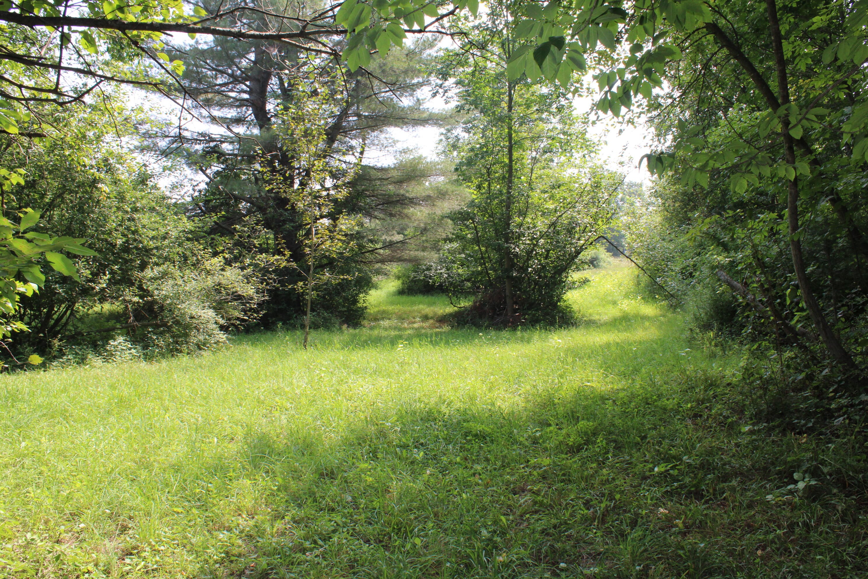 2838 W Trask Lake Road Hawes Township MI 48705