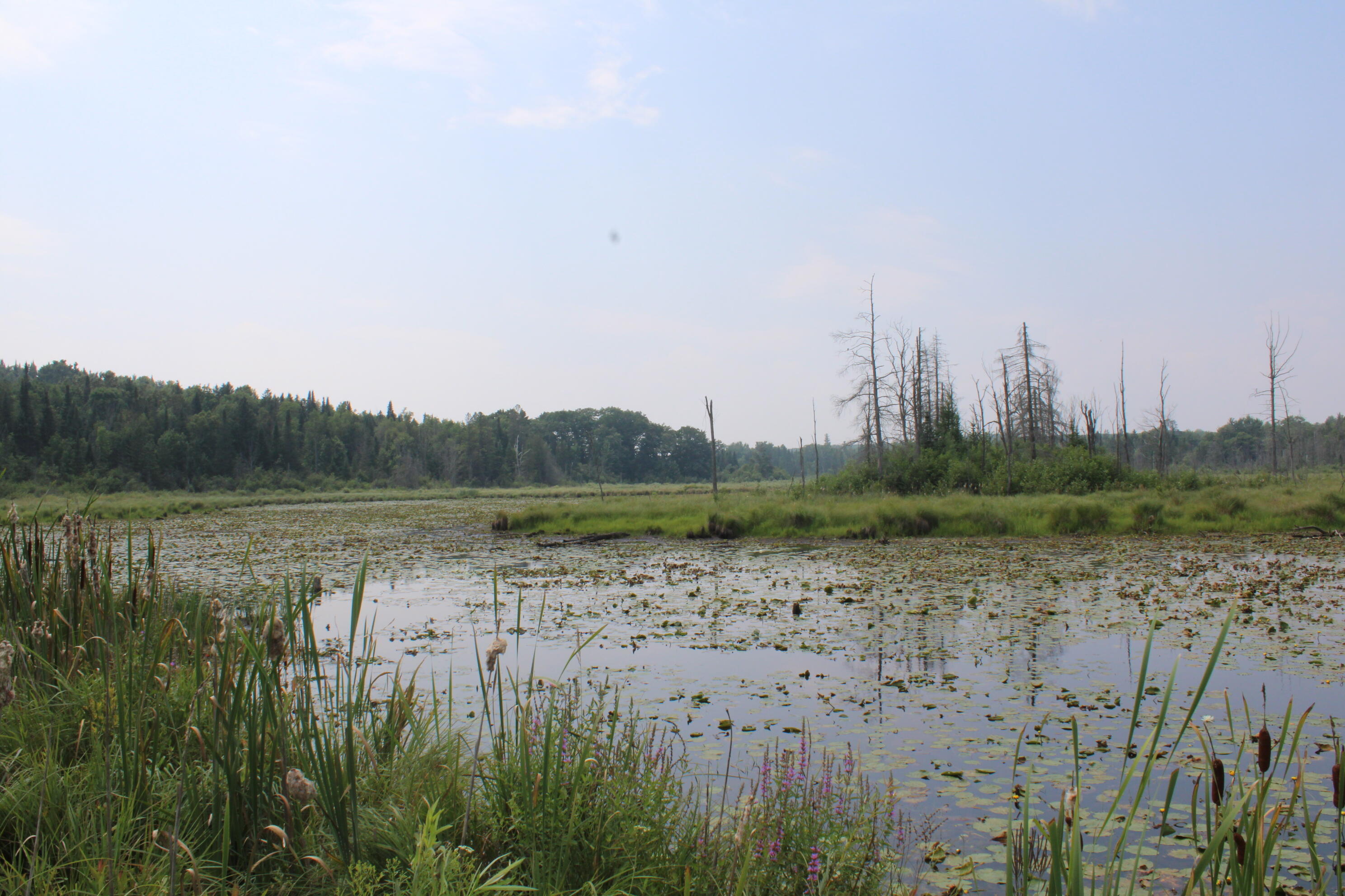 2838 W Trask Lake Road Hawes Township MI 48705